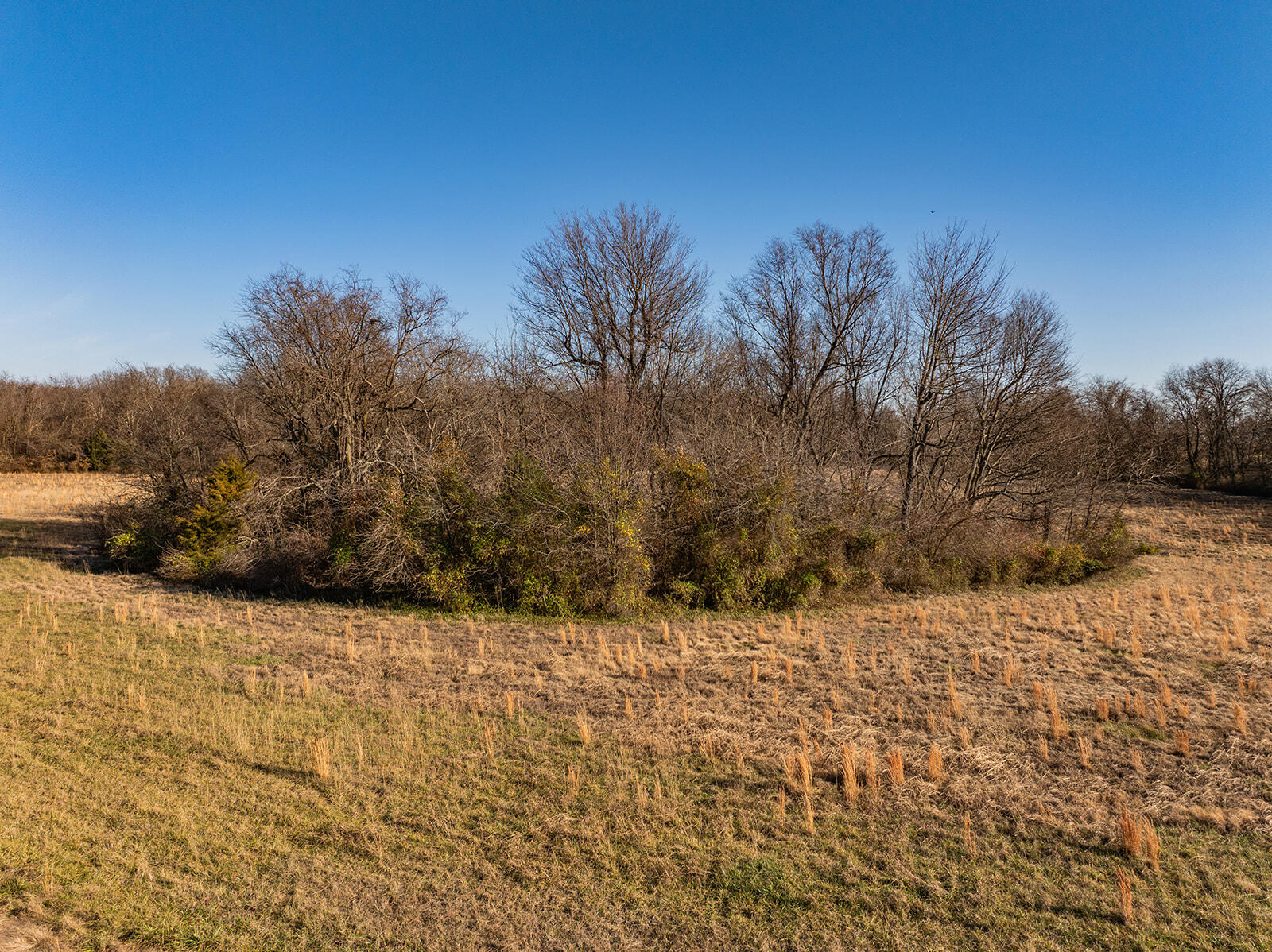 000 Farm Road 148 Property Photo 12