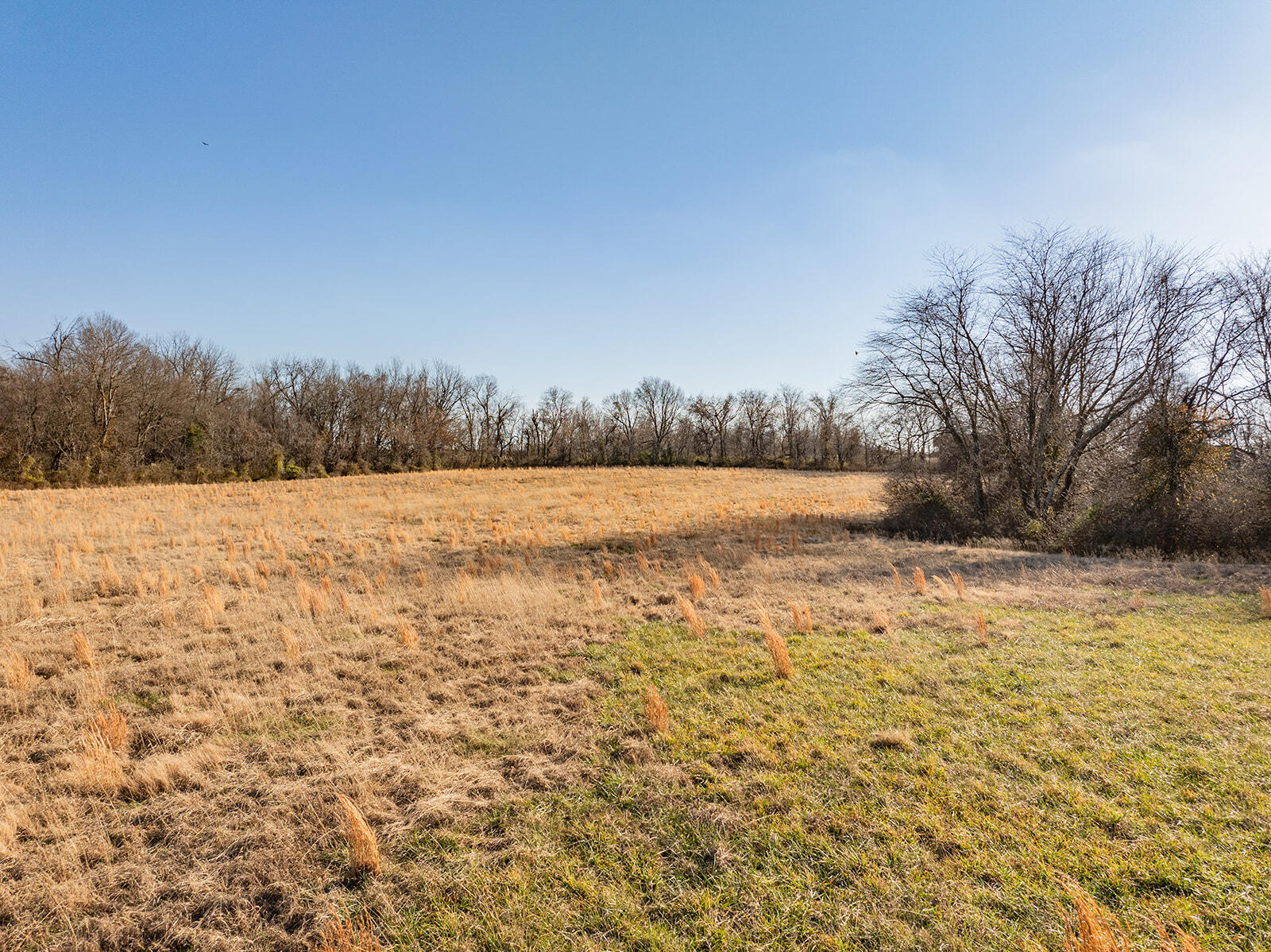 000 Farm Road 148 Property Photo 15