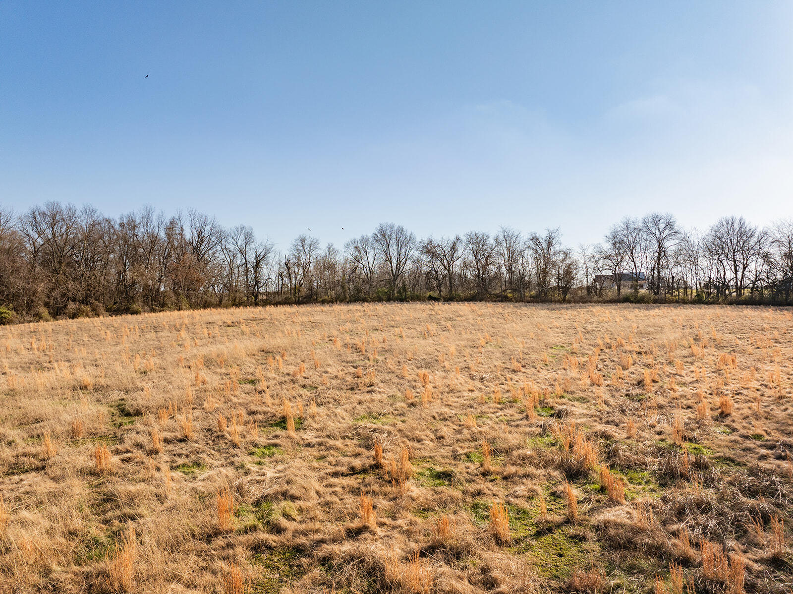 000 Farm Road 148 Property Photo 16