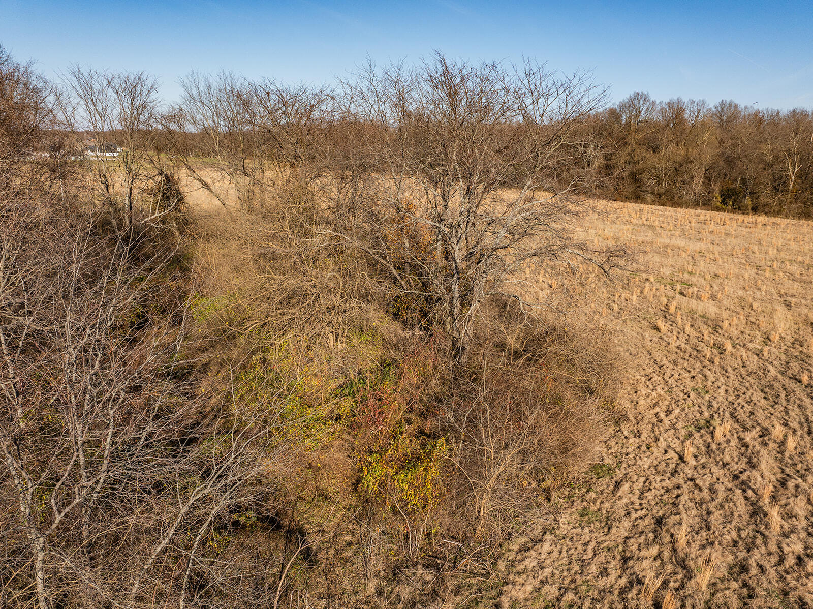 000 Farm Road 148 Property Photo 19