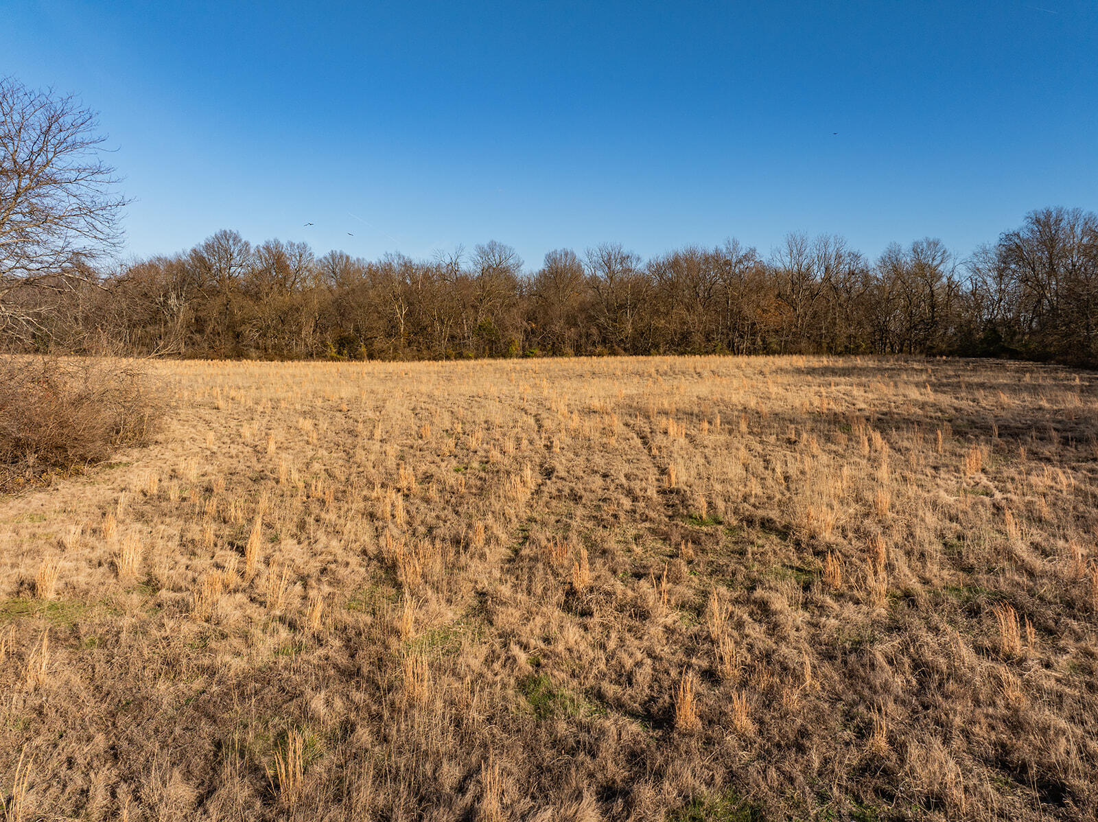 000 Farm Road 148 Property Photo 20