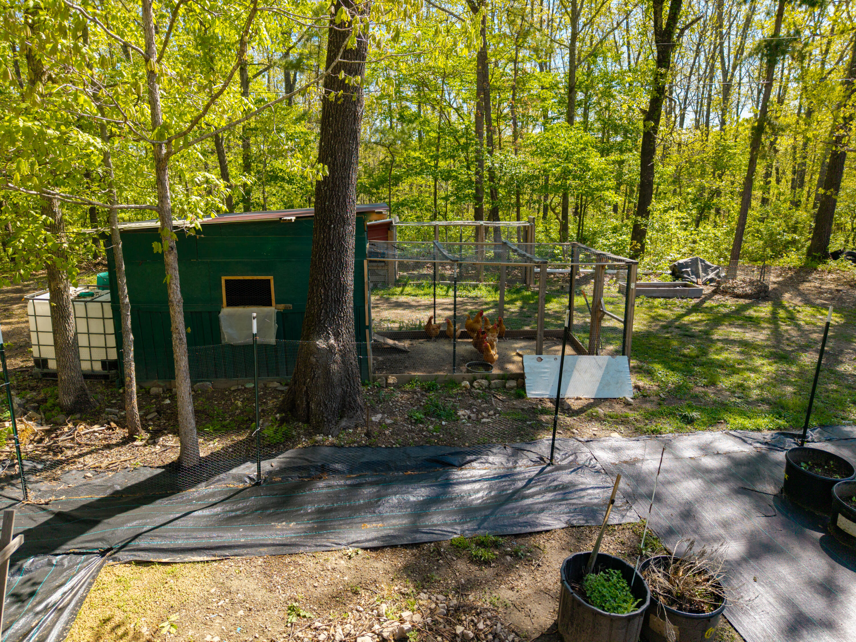 26557 Co Rd 230 Property Photo 13