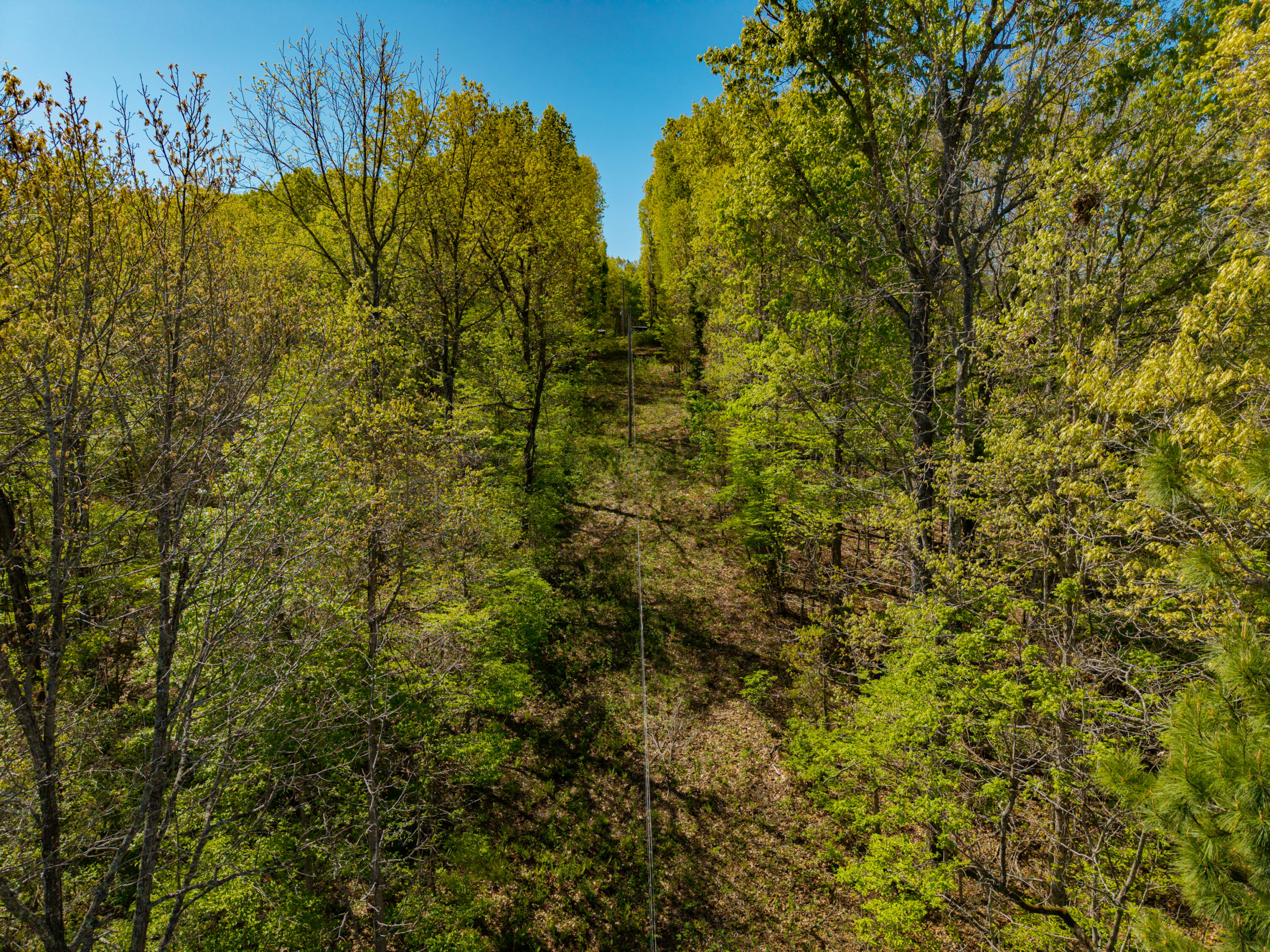 26557 Co Rd 230 Property Photo 51