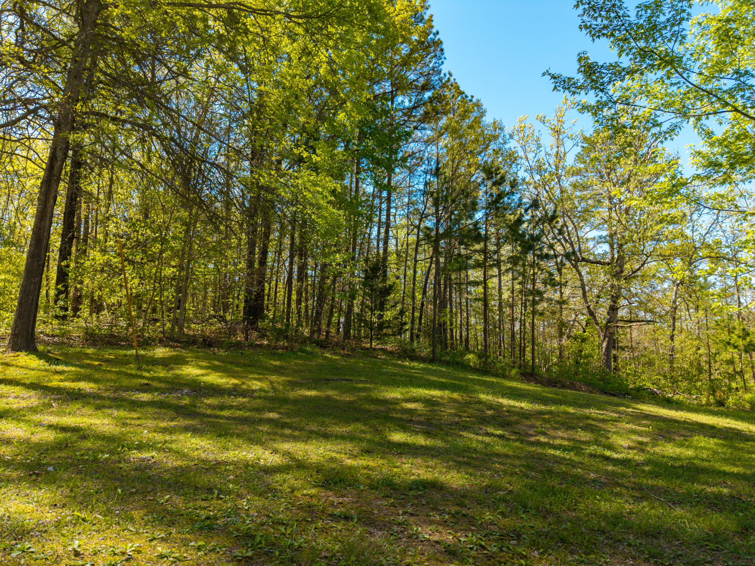 26557 Co Rd 230 Property Photo 55