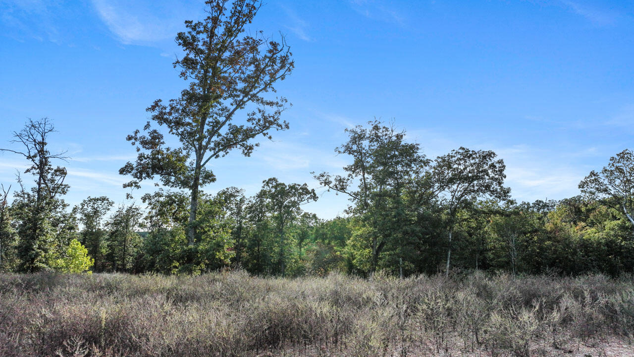 Lot 11 Wilshire Boulevard Property Photo 8
