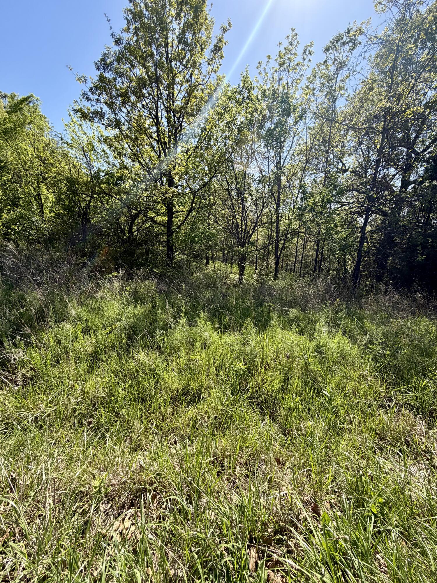 000 North Highway N Property Photo 9