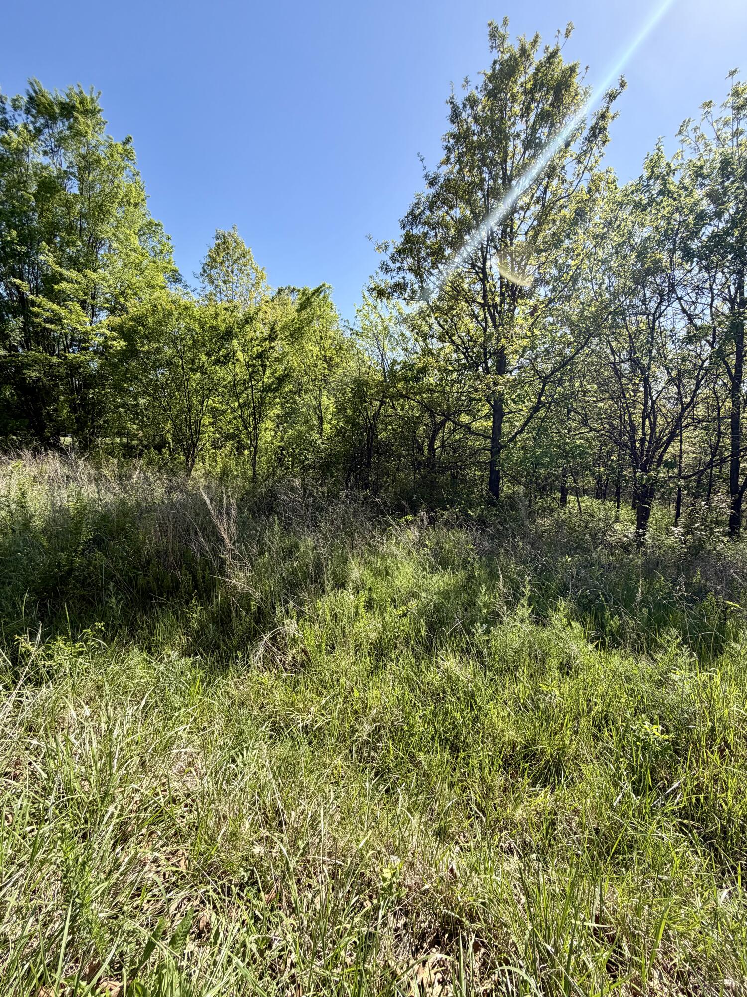 000 North Highway N Property Photo 10