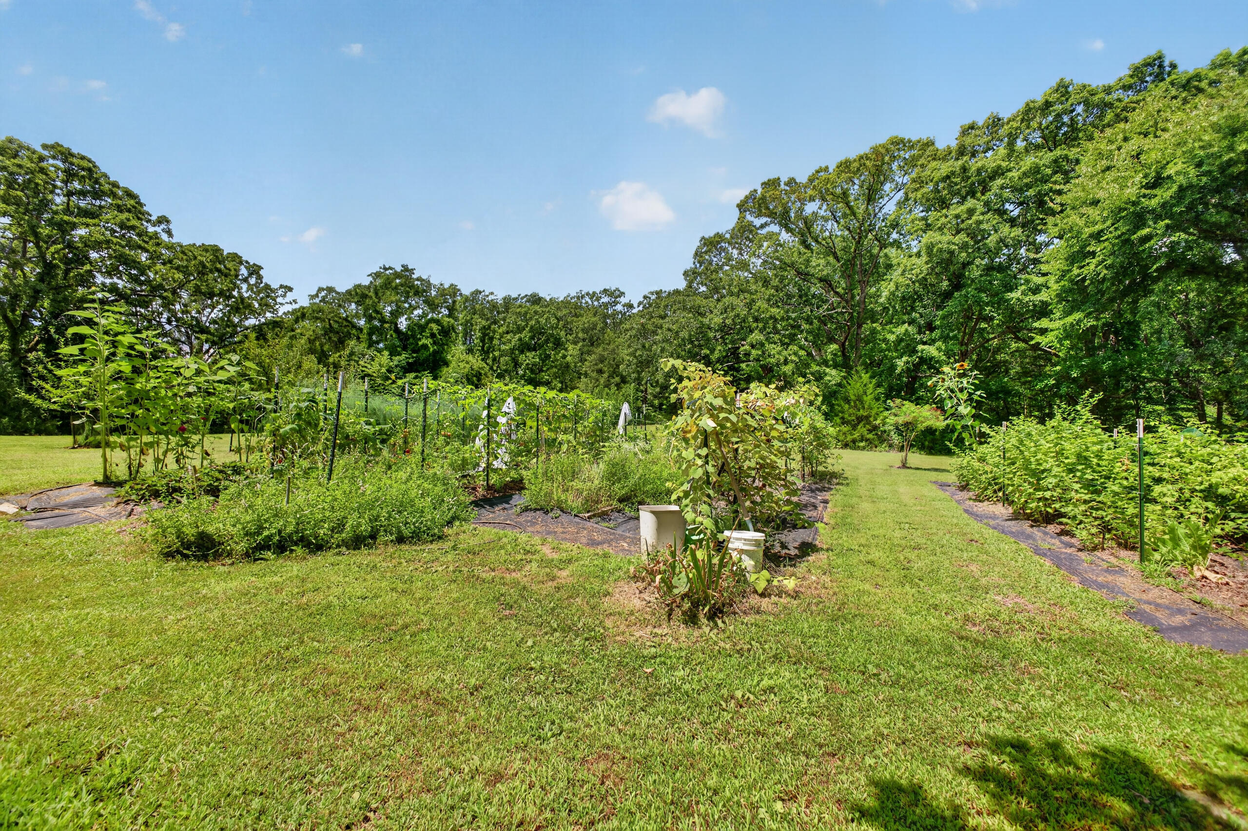 411 Moon Valley Road Property Photo 114