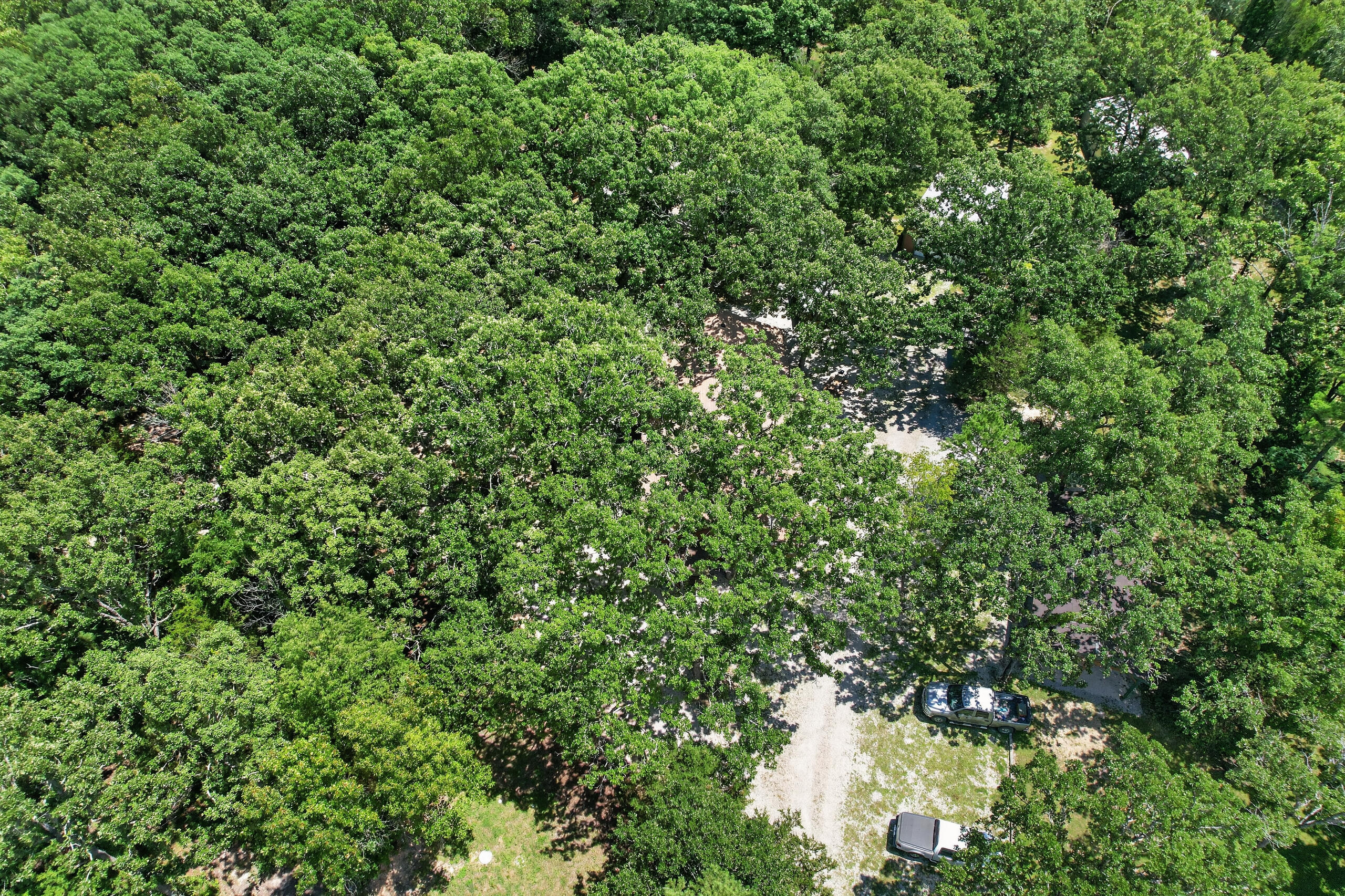 411 Moon Valley Road Property Photo 124