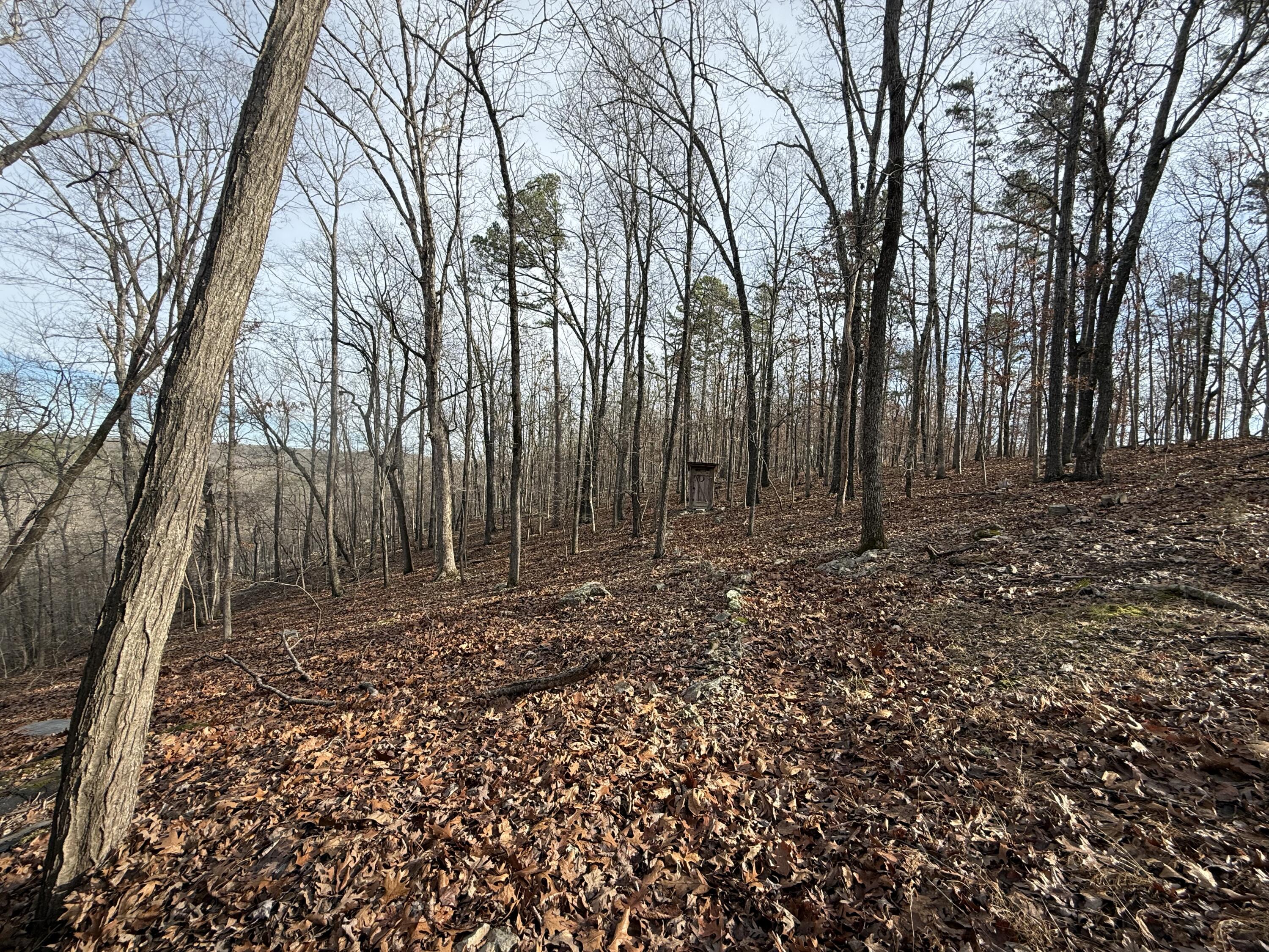 60314833 Property Photo 21