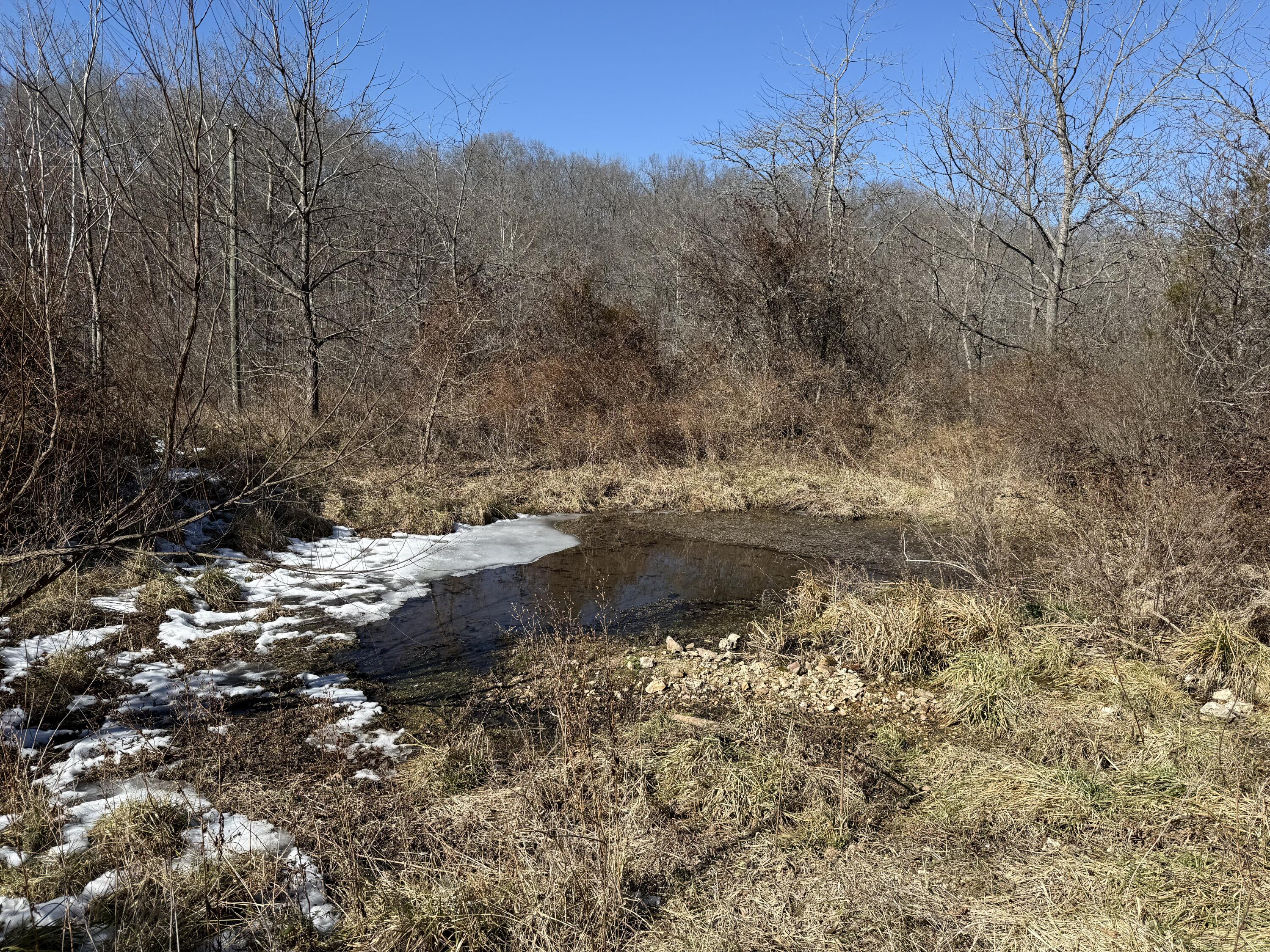 1677 Glad Hill Road Property Photo 4