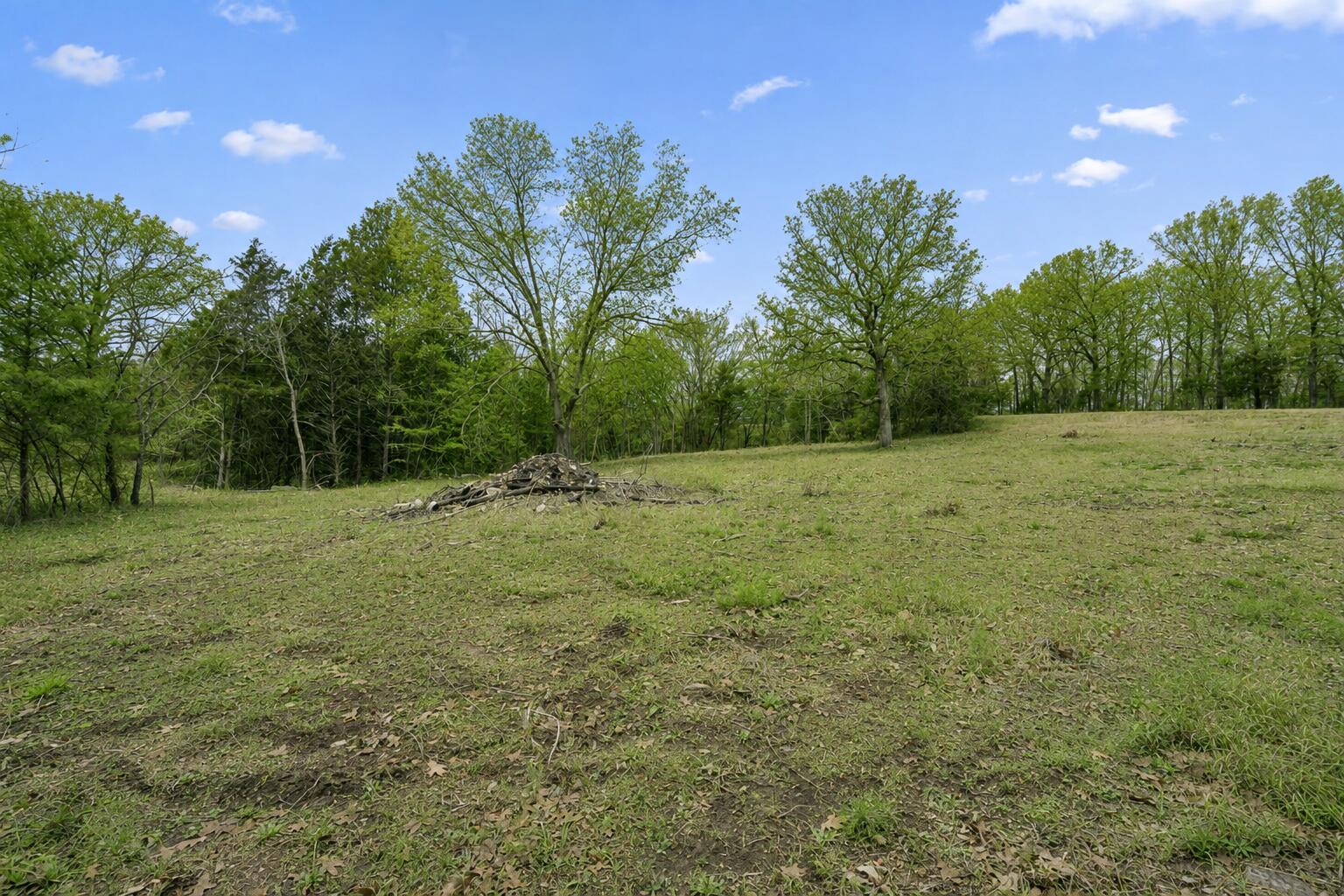 Tbd Pinto Lane Property Photo 5