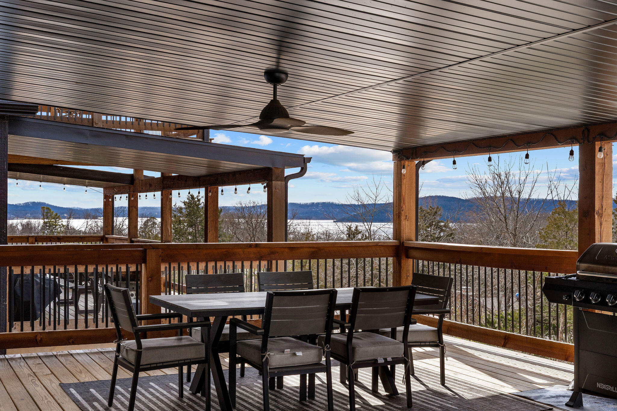 161 Branson Cove Boulevard 59 Property Photo 4