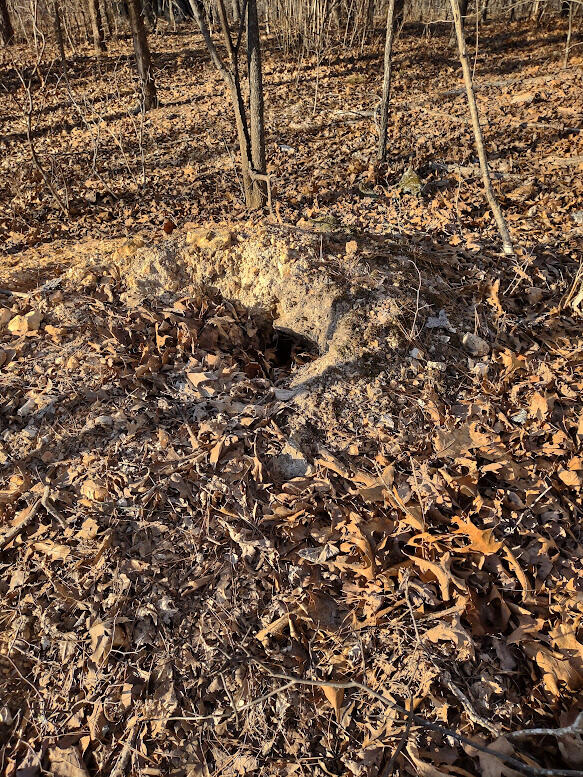 000 Moonshine Pass Property Photo 3