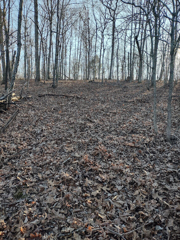 000 Moonshine Pass Property Photo 4