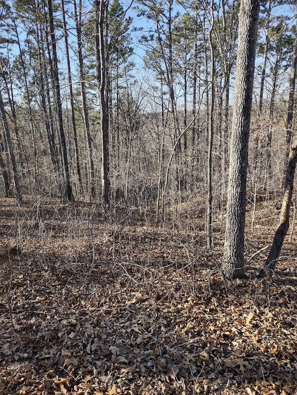 000 Moonshine Pass Property Photo 5