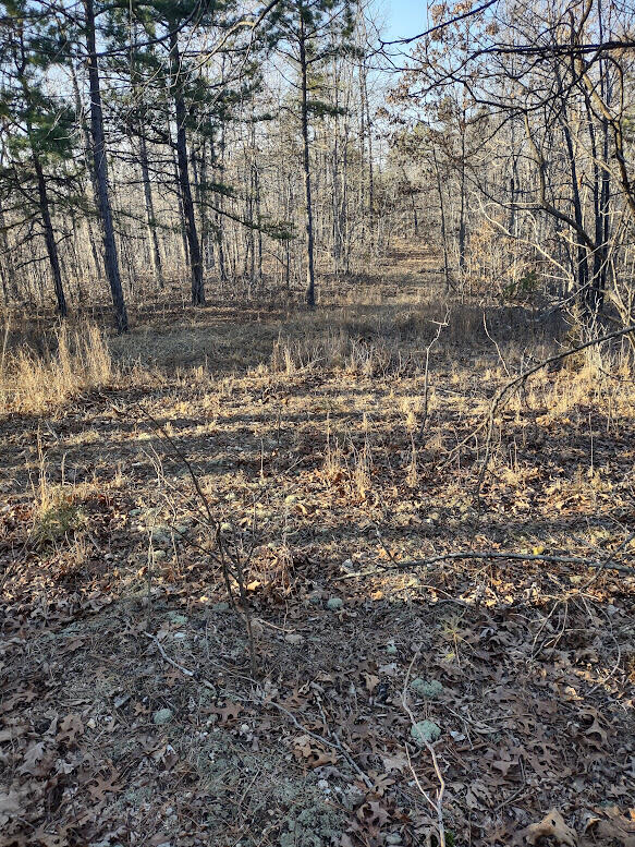 000 Moonshine Pass Property Photo 6