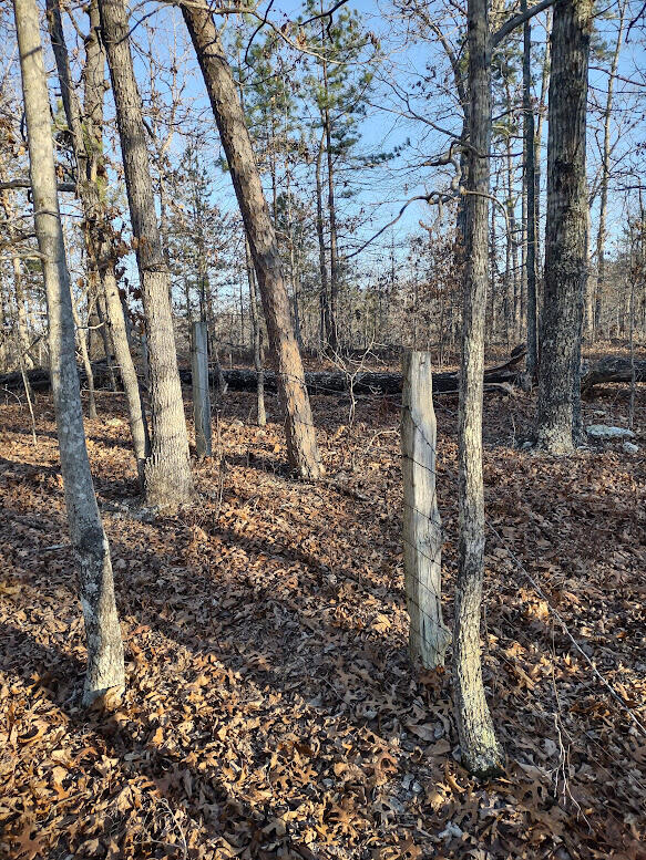000 Moonshine Pass Property Photo 8