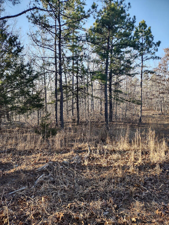 000 Moonshine Pass Property Photo 9