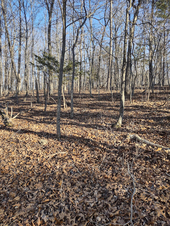000 Moonshine Pass Property Photo 10
