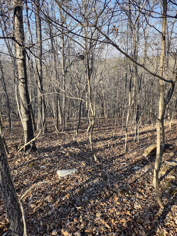 000 Moonshine Pass Property Photo 11