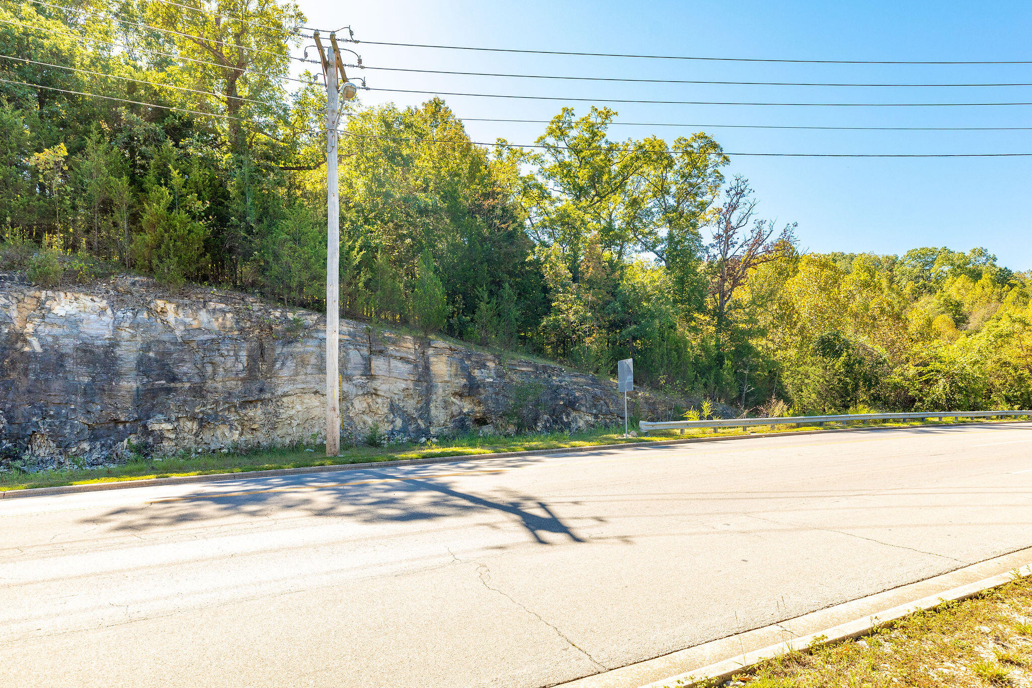 Tbd Roark Valley Road Property Photo 6