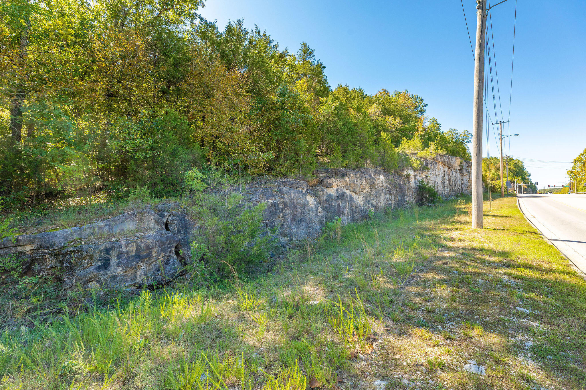 Tbd Roark Valley Road Property Photo 10