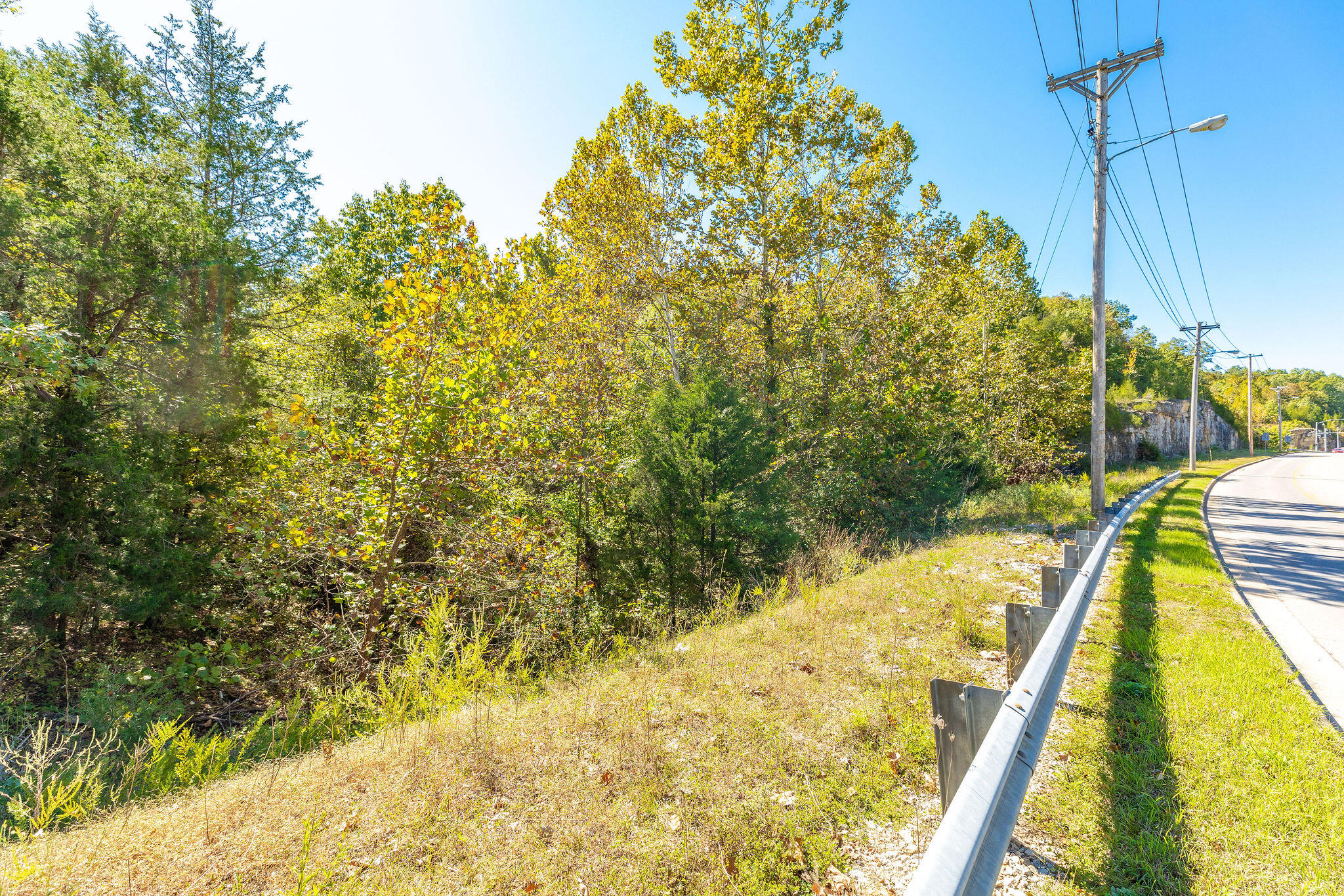 Tbd Roark Valley Road Property Photo 11