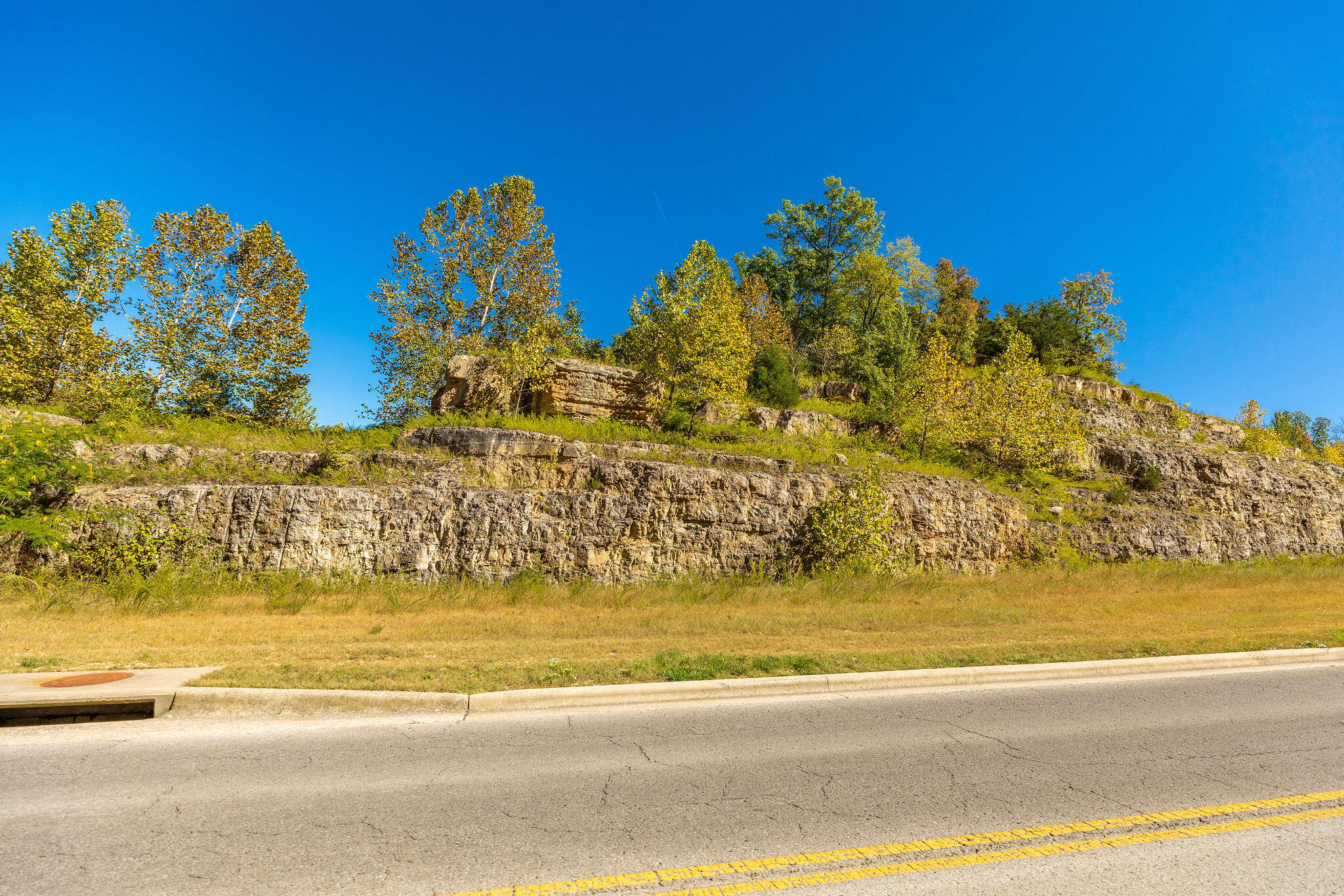 Tbd Roark Valley Road Property Photo 13