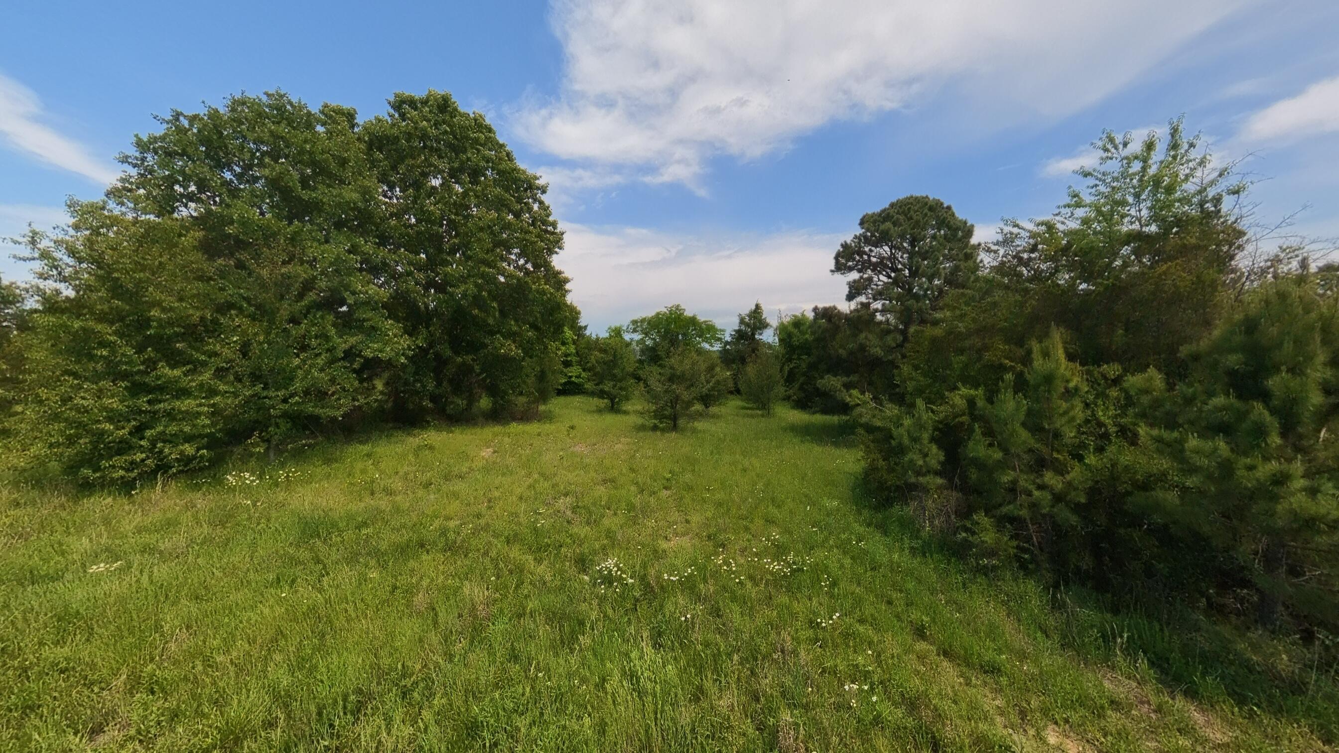 676 County Road 403 Property Photo 8