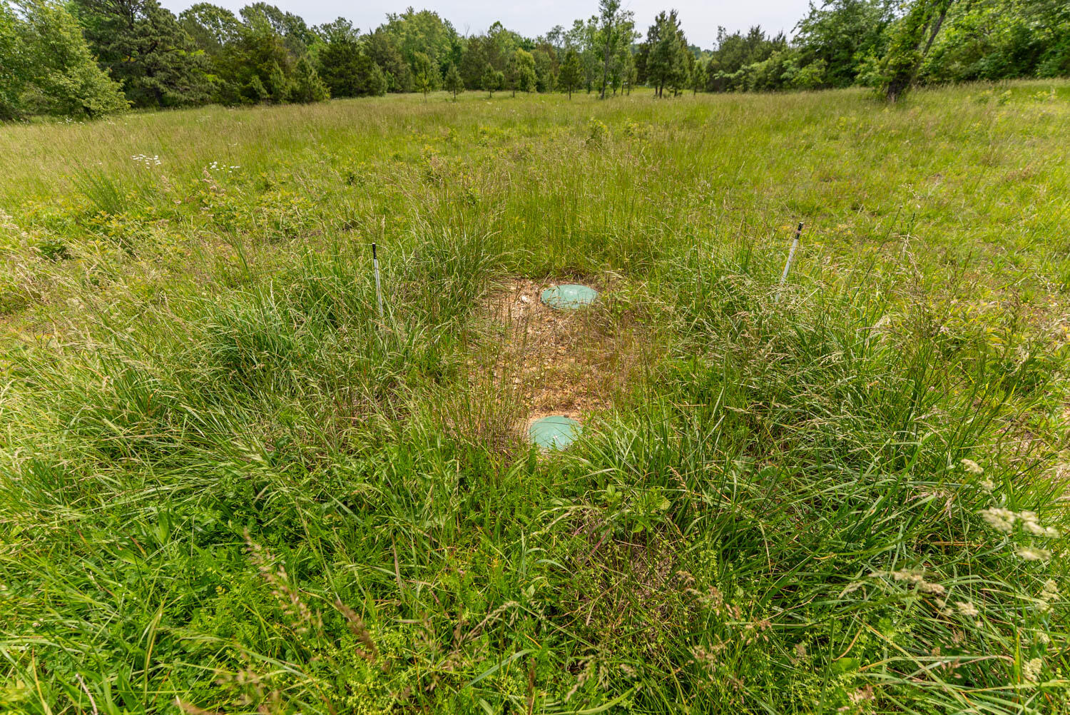 676 County Road 403 Property Photo 14