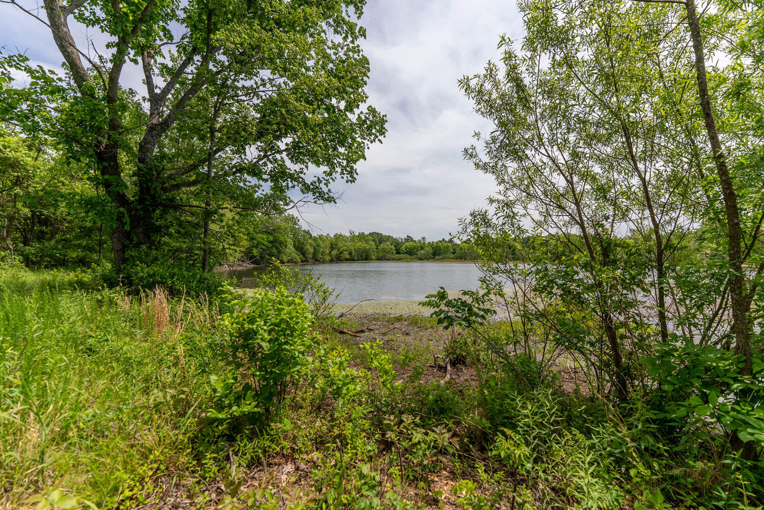 676 County Road 403 Property Photo 16