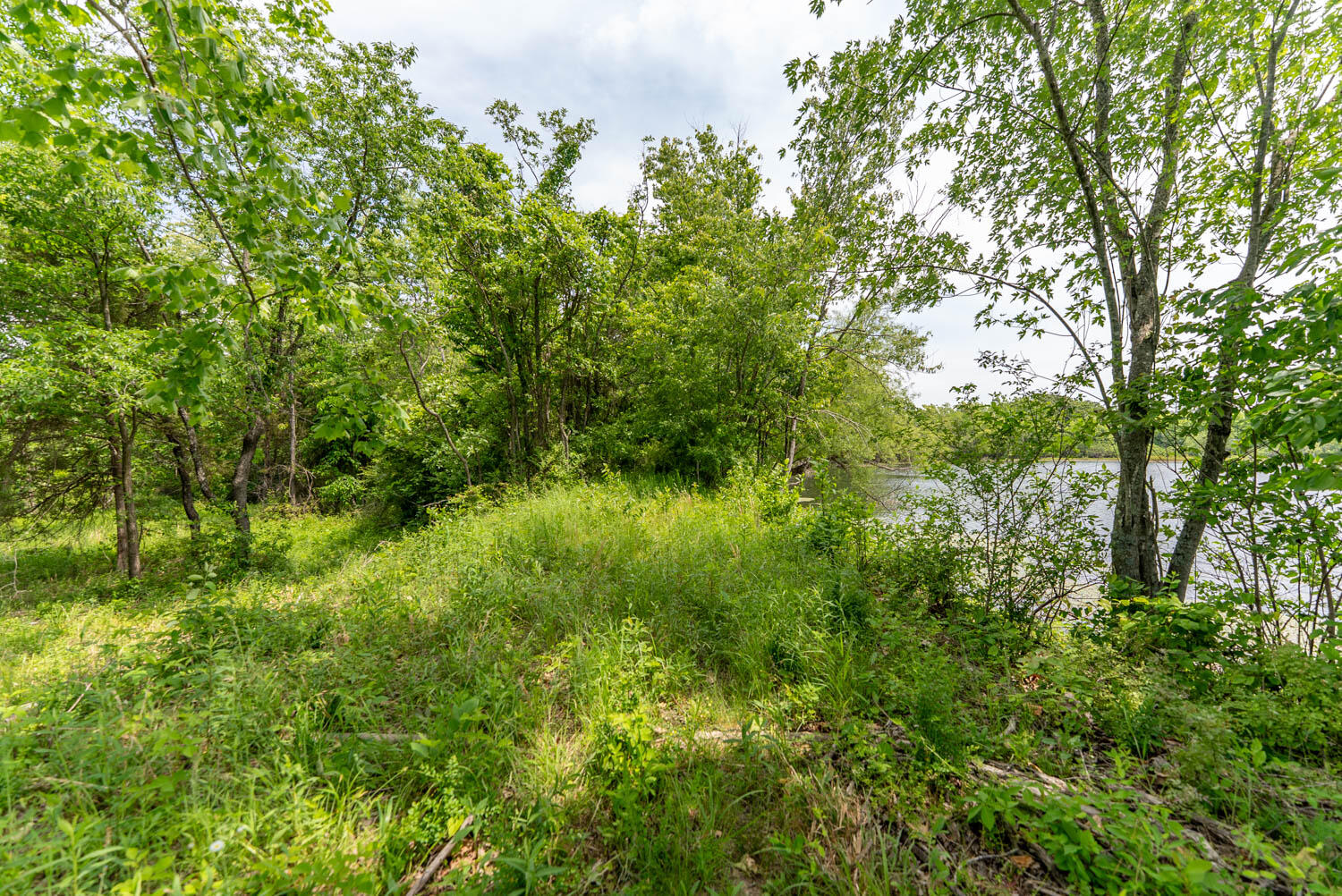 676 County Road 403 Property Photo 18