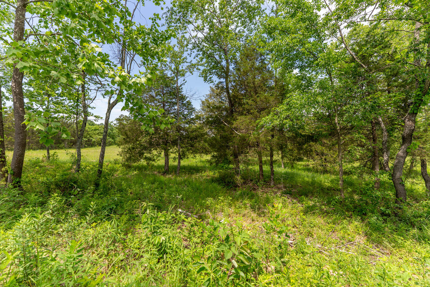 676 County Road 403 Property Photo 20
