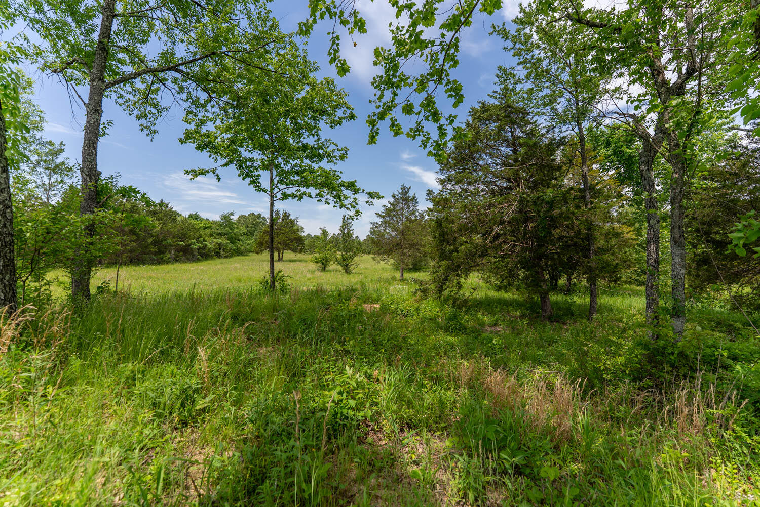 676 County Road 403 Property Photo 21