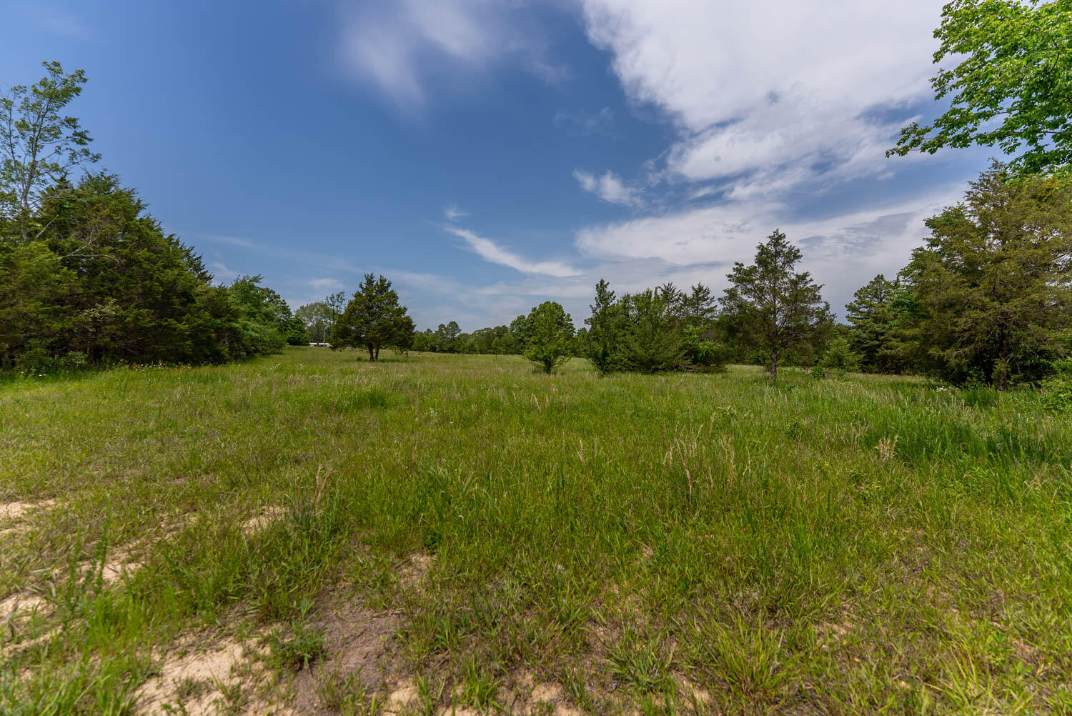 676 County Road 403 Property Photo 22