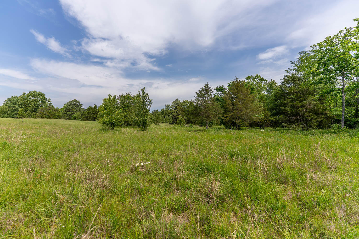 676 County Road 403 Property Photo 23