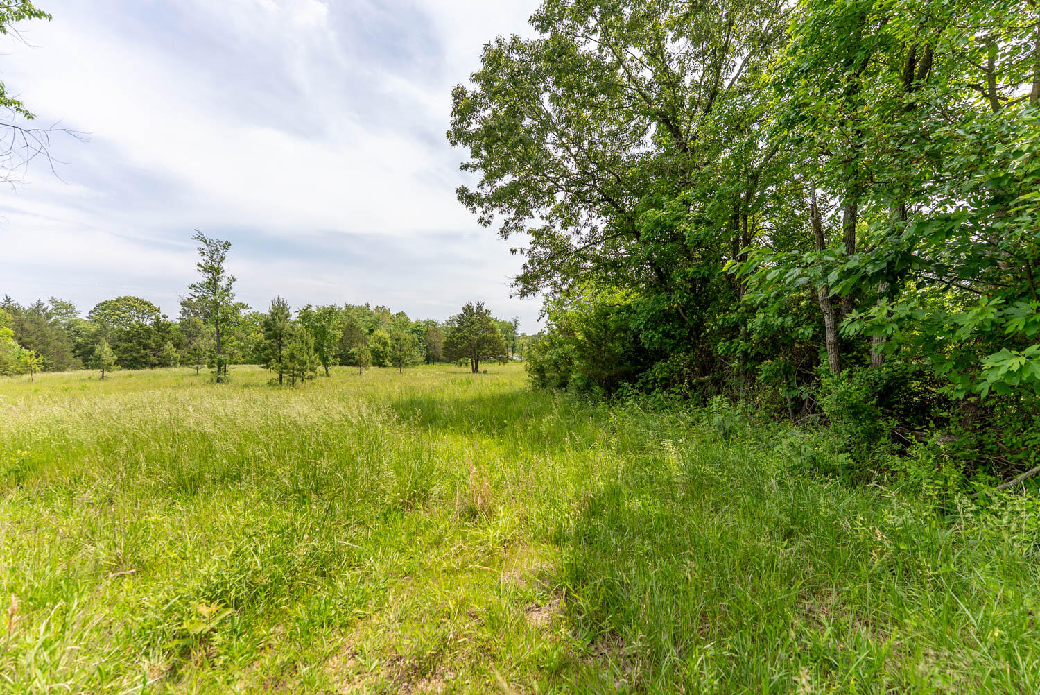 676 County Road 403 Property Photo 25