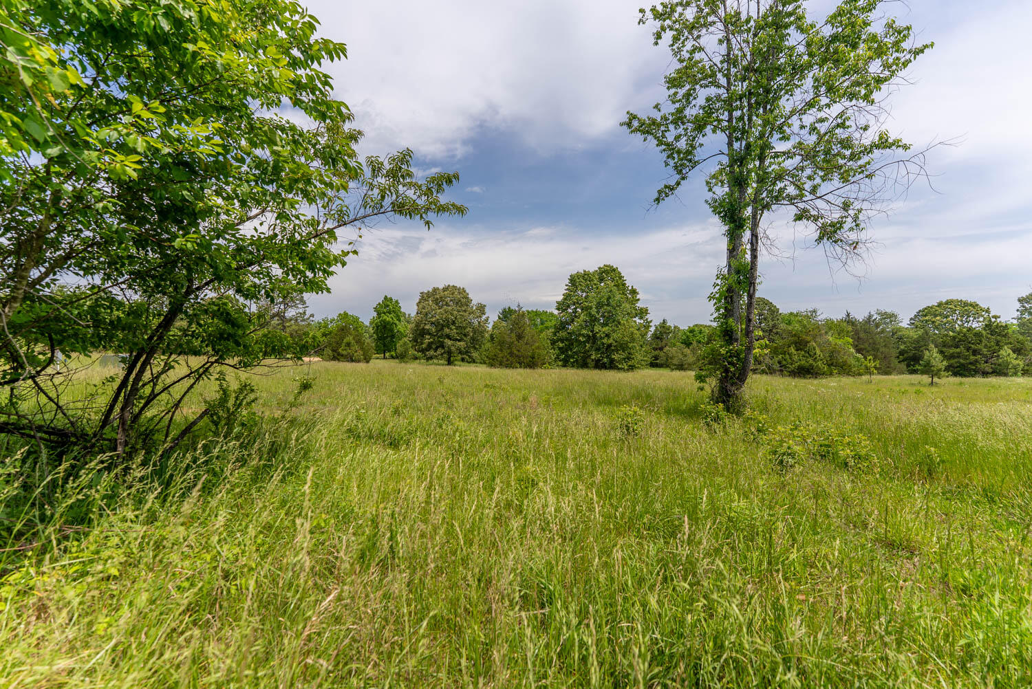 676 County Road 403 Property Photo 26