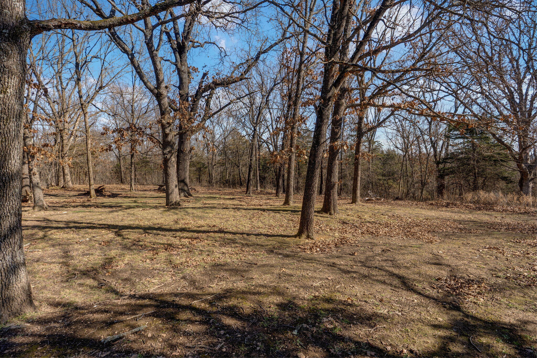 1807 Highway 32 Property Photo 45