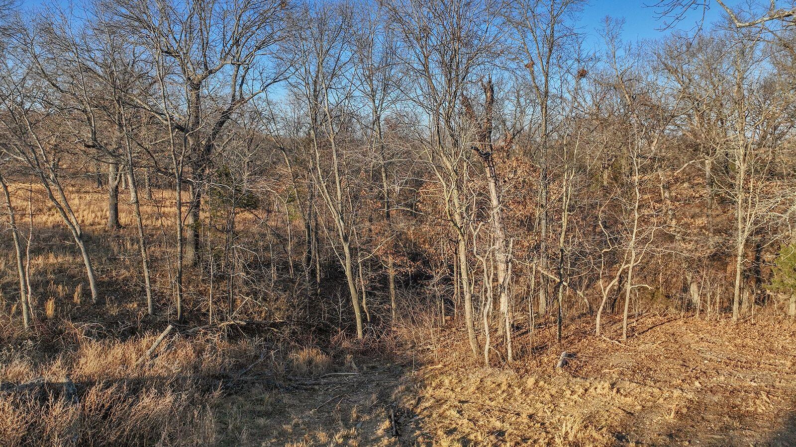 15.14 Acrs Cherry Bark Lane Property Photo 8