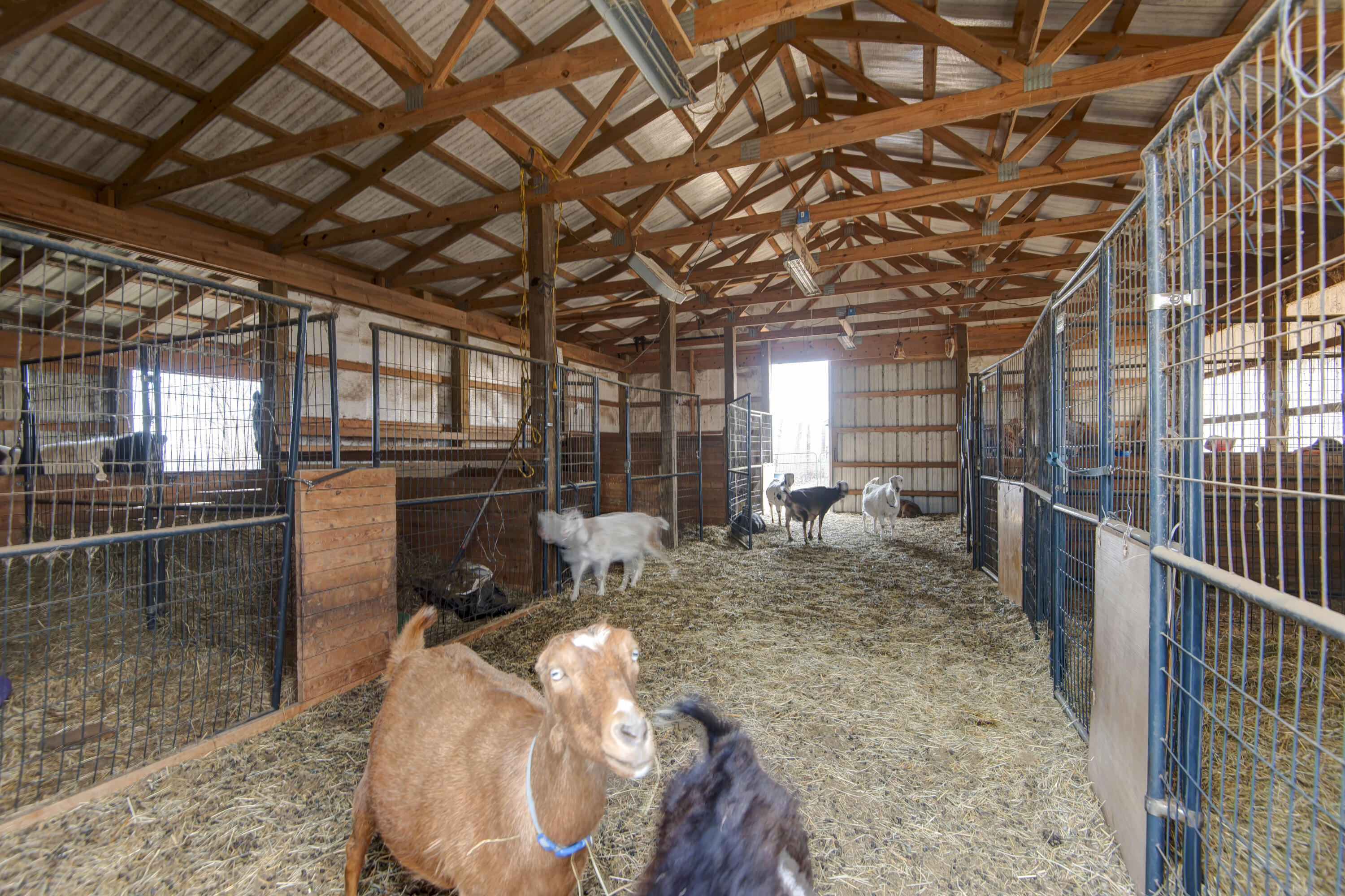 2130 Elbow Road Property Photo 49