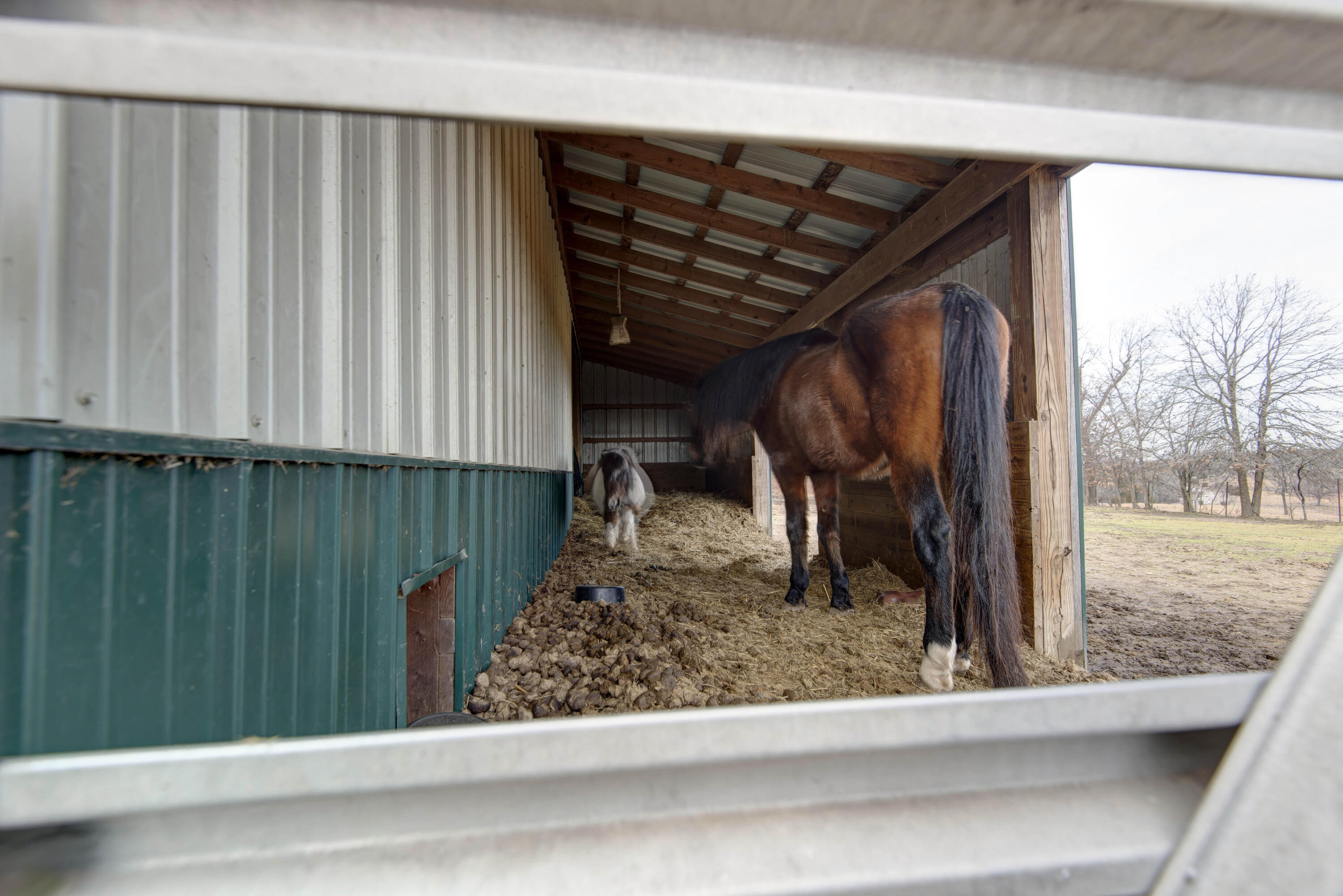 2130 Elbow Road Property Photo 51