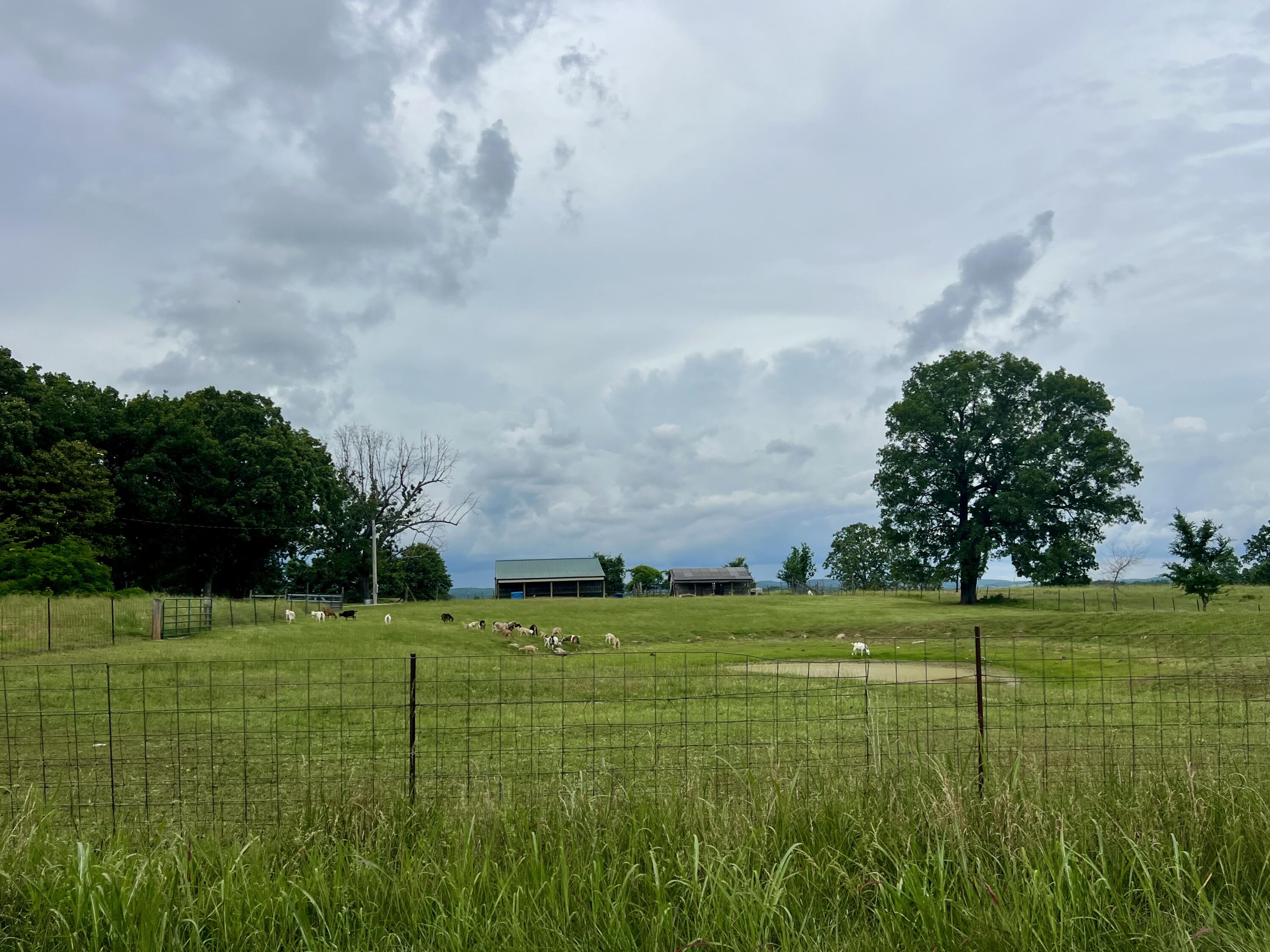 2130 Elbow Road Property Photo 86