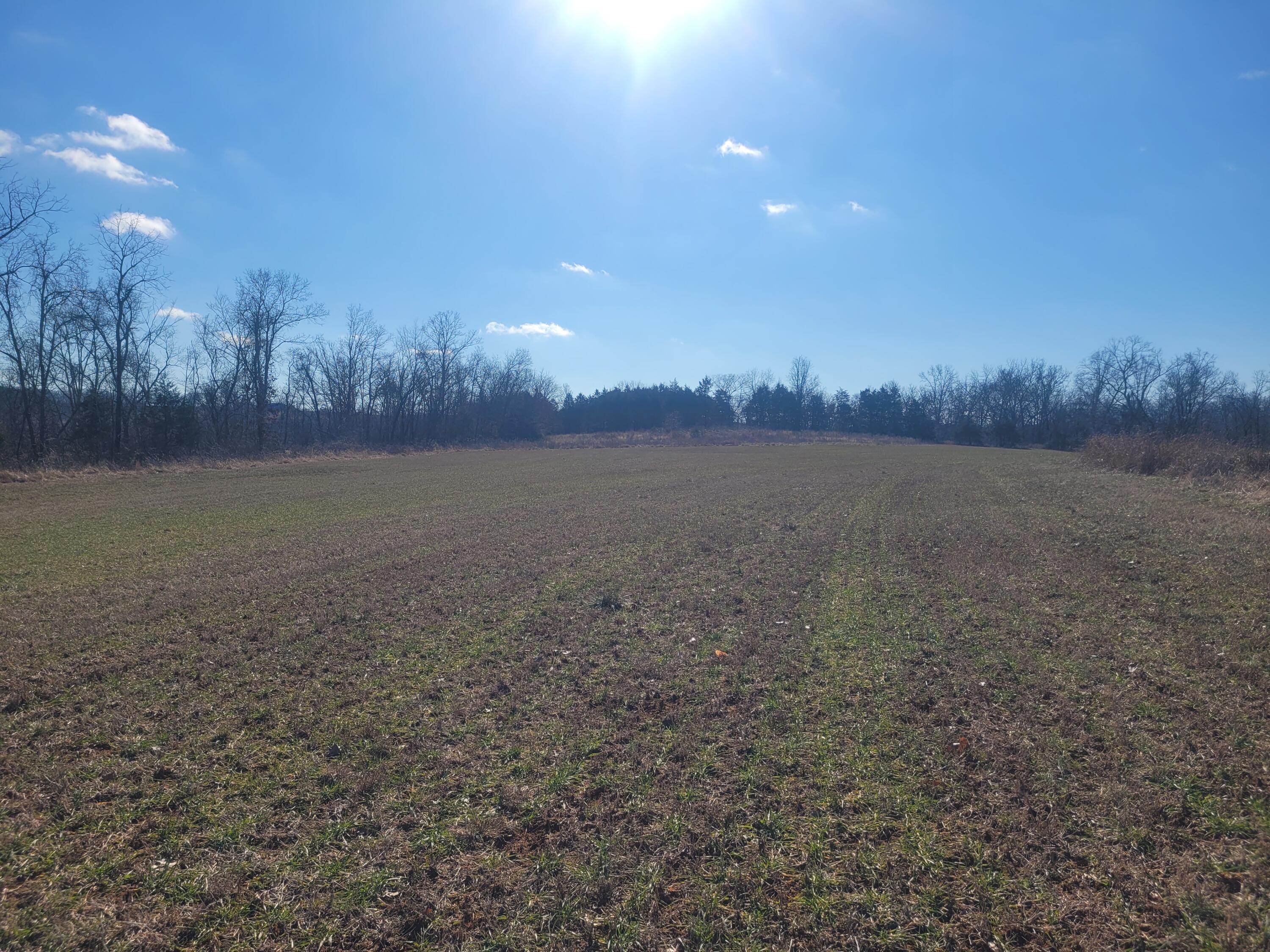 000 Hickory Flats Road Property Photo 4