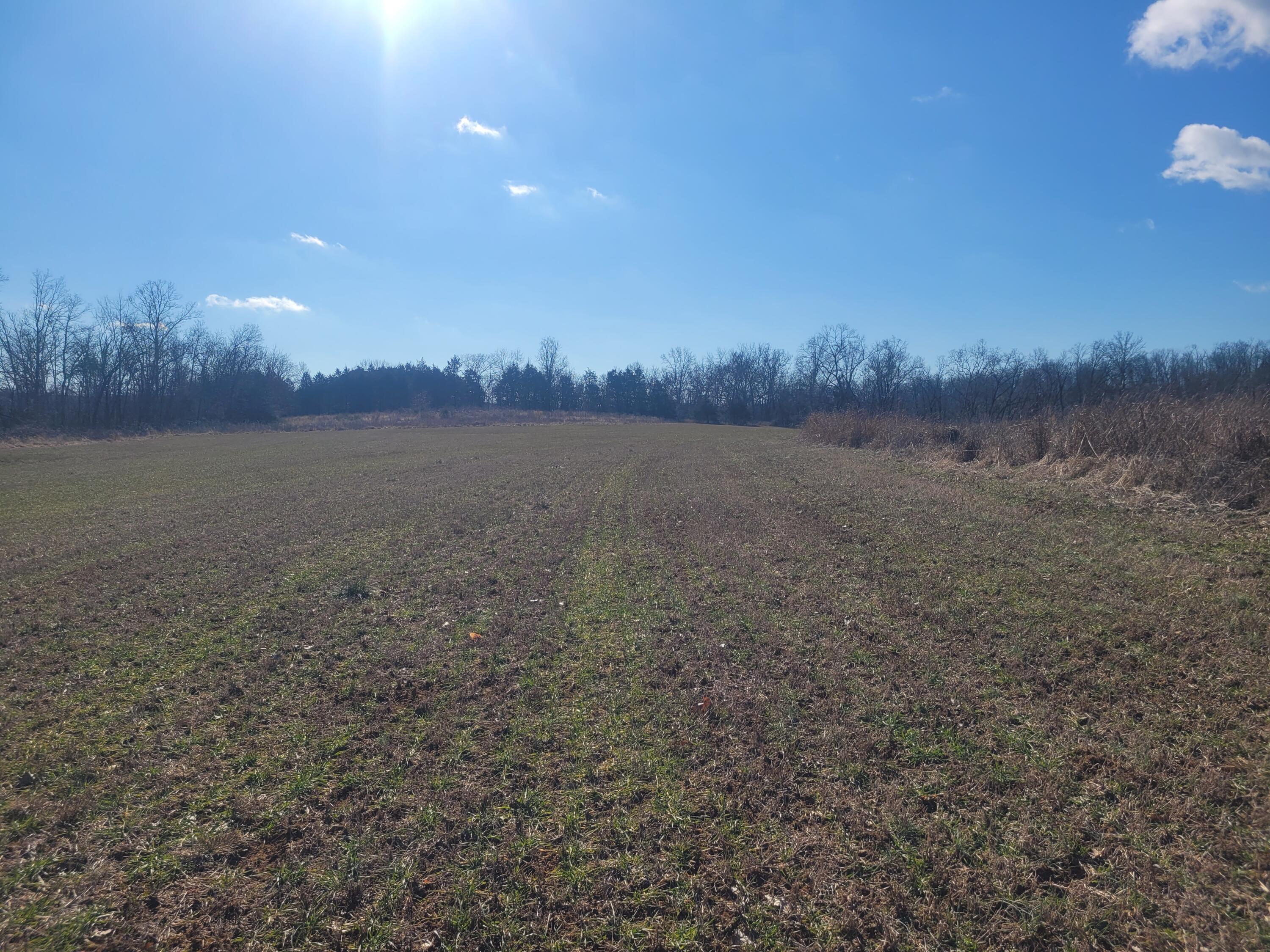 000 Hickory Flats Road Property Photo 5