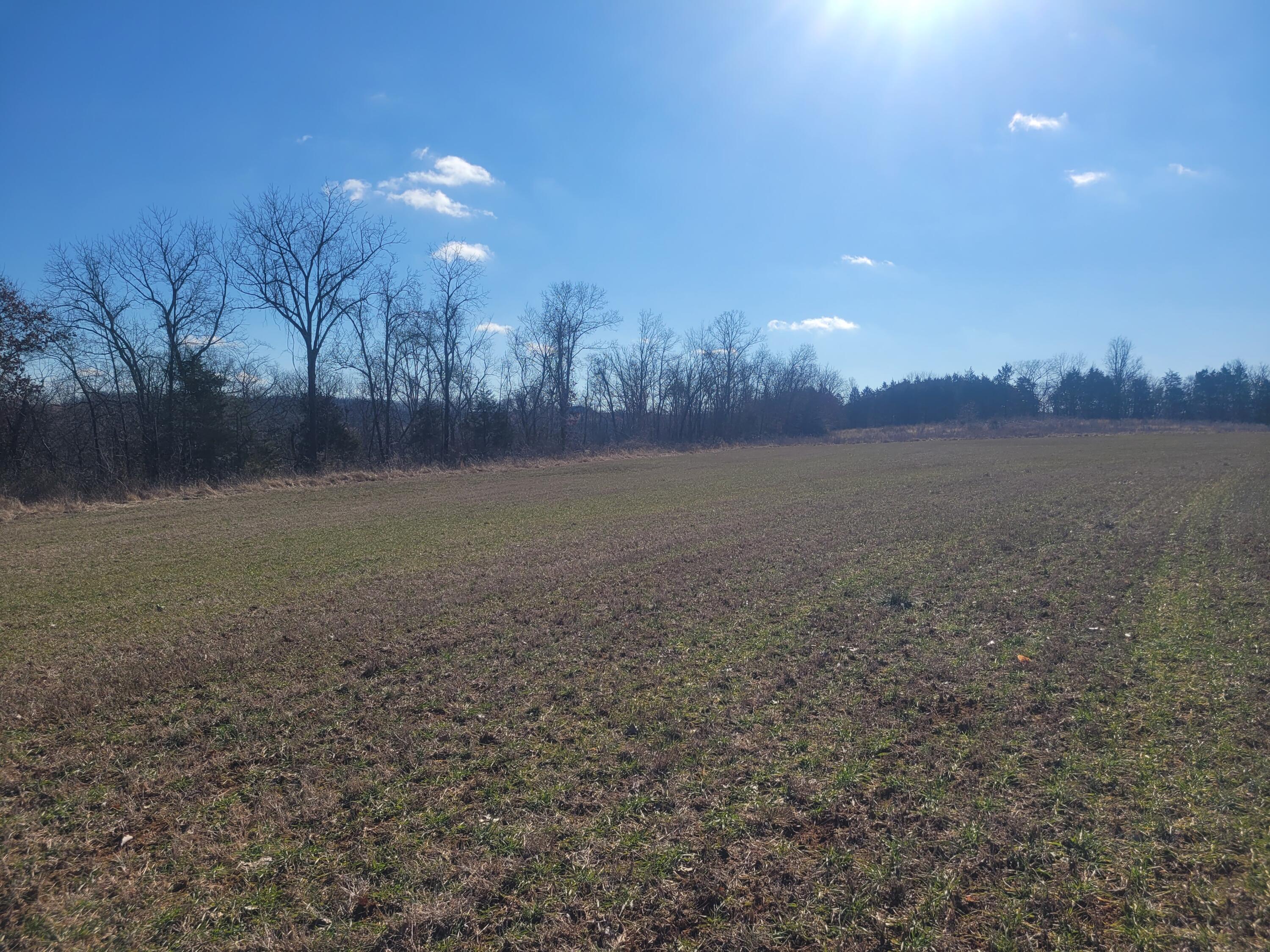 000 Hickory Flats Road Property Photo 6