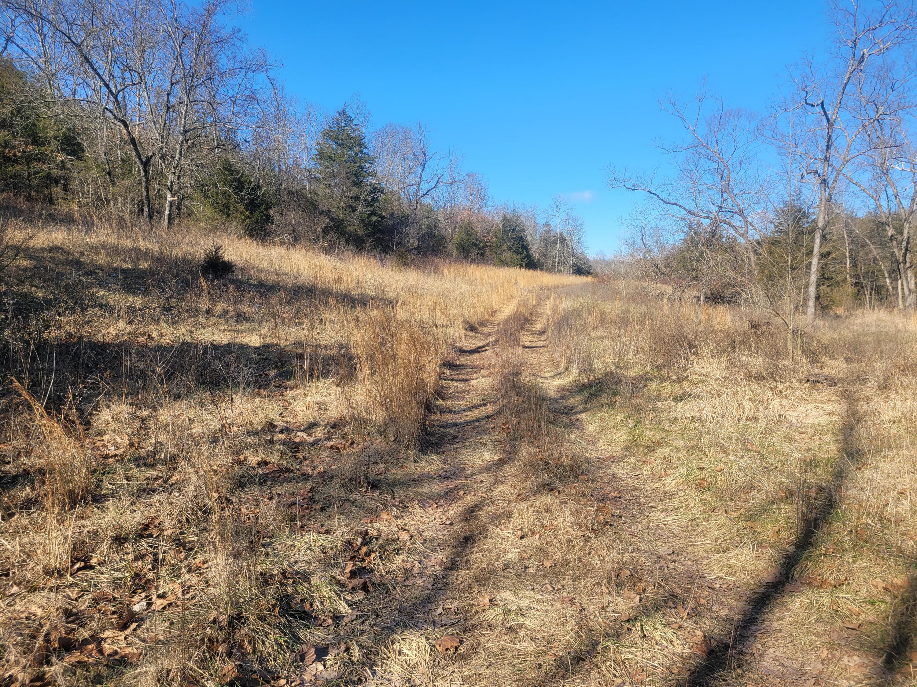 000 Hickory Flats Road Property Photo 8