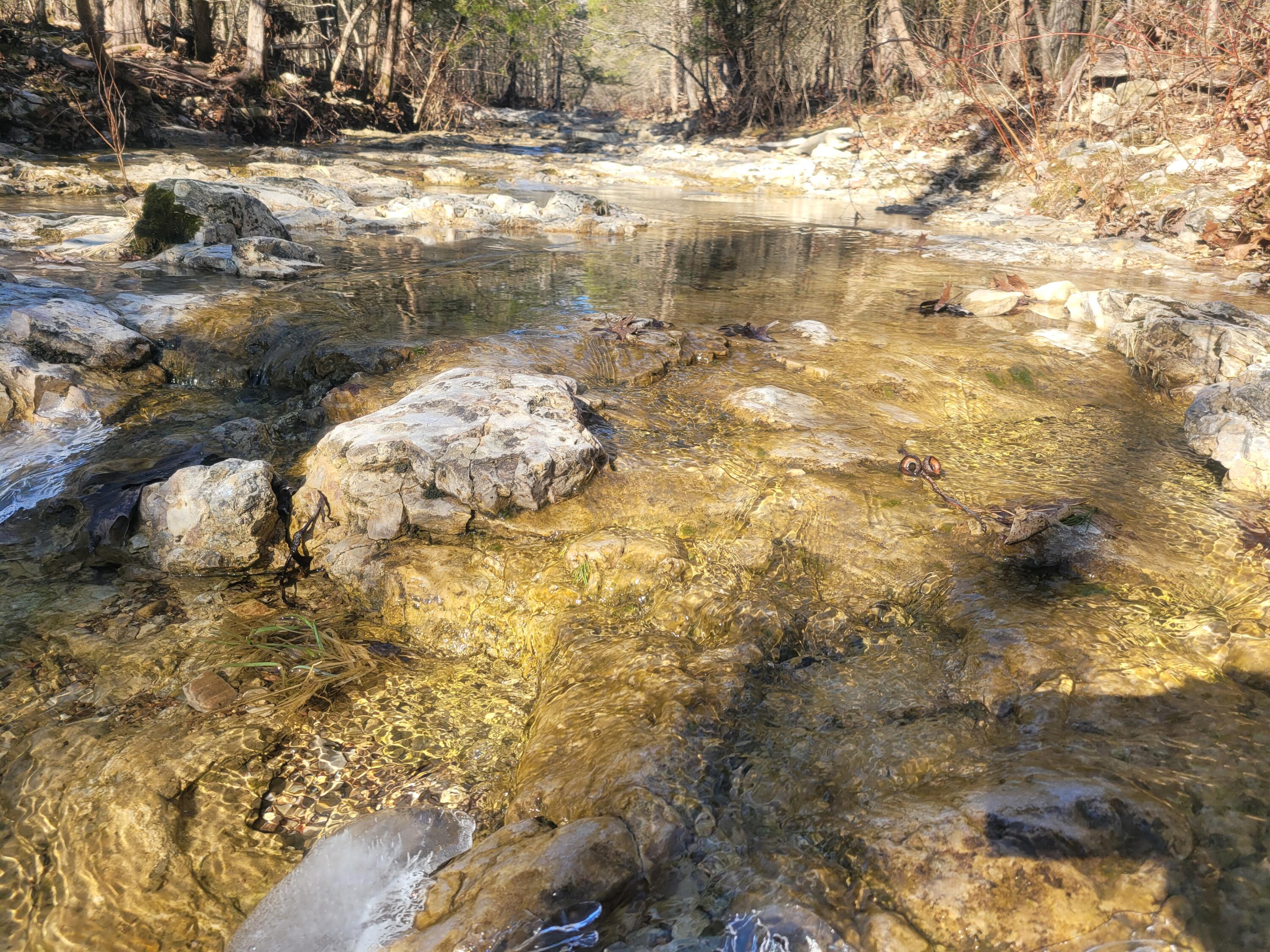 000 Hickory Flats Road Property Photo 11
