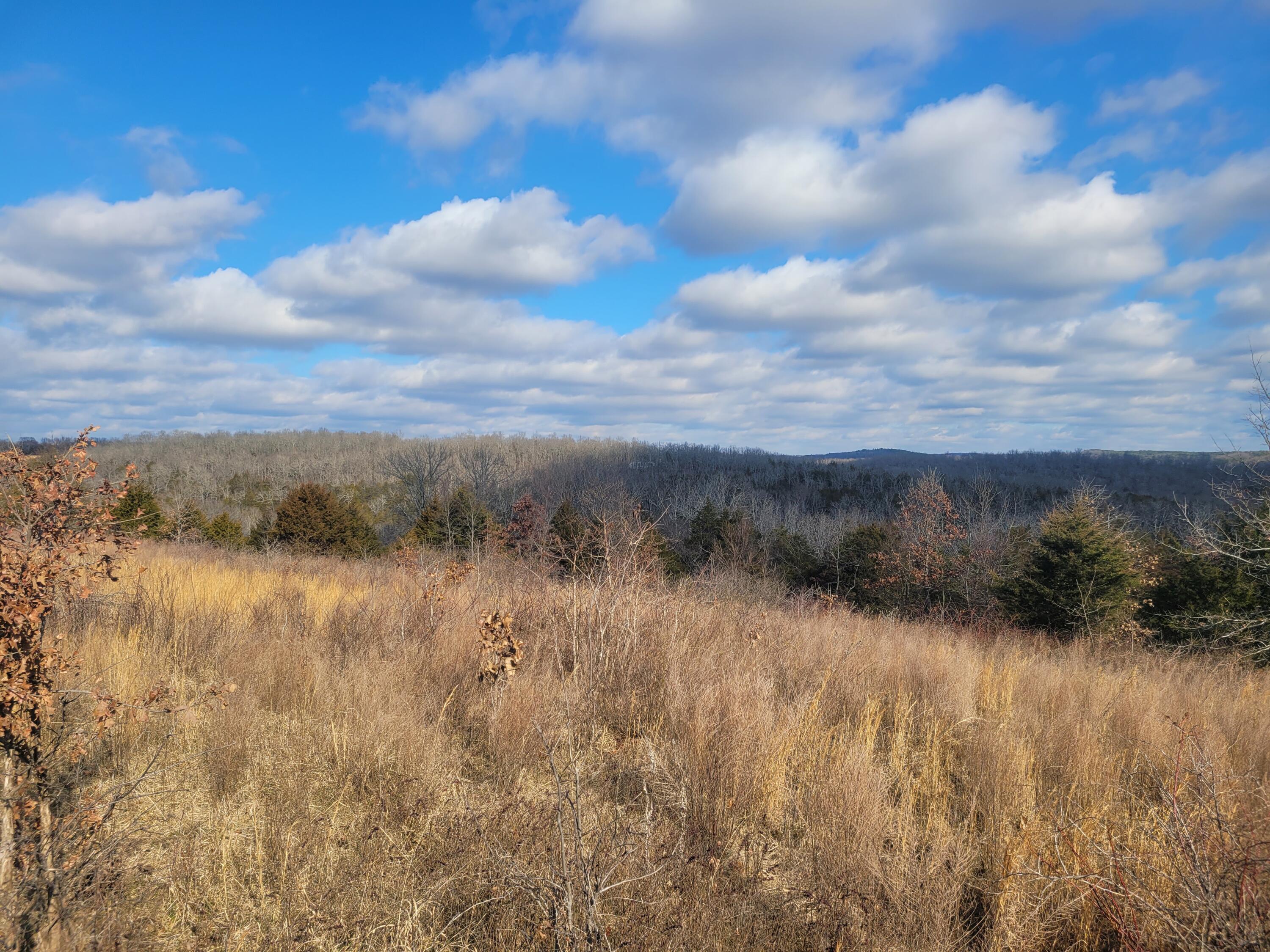 000 Hickory Flats Road Property Photo 17